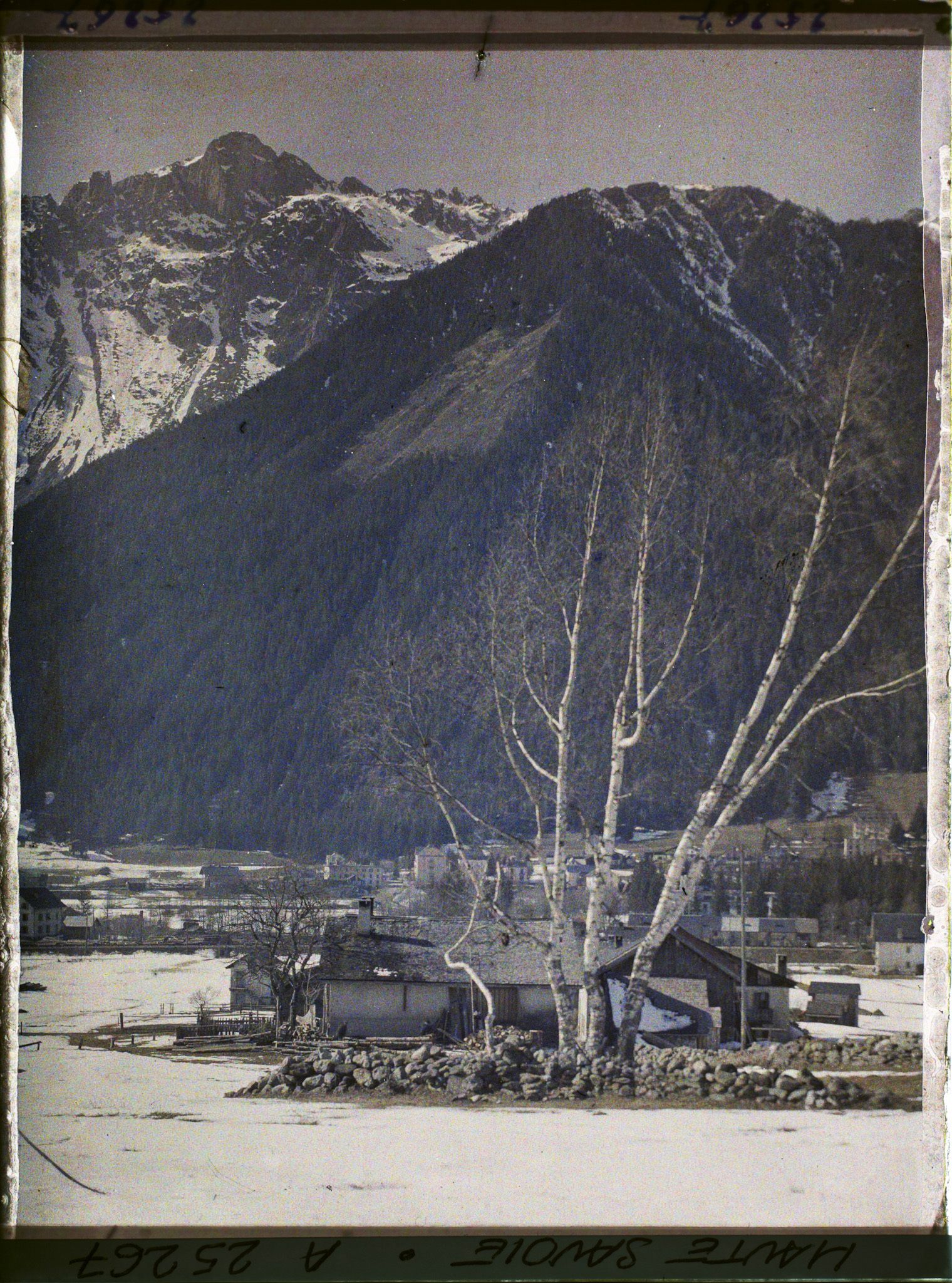 Image représentant Mouilles, Vallée de Chamonix, Paysage Alpestre ; vue du Village des Mouilles et le Brévent