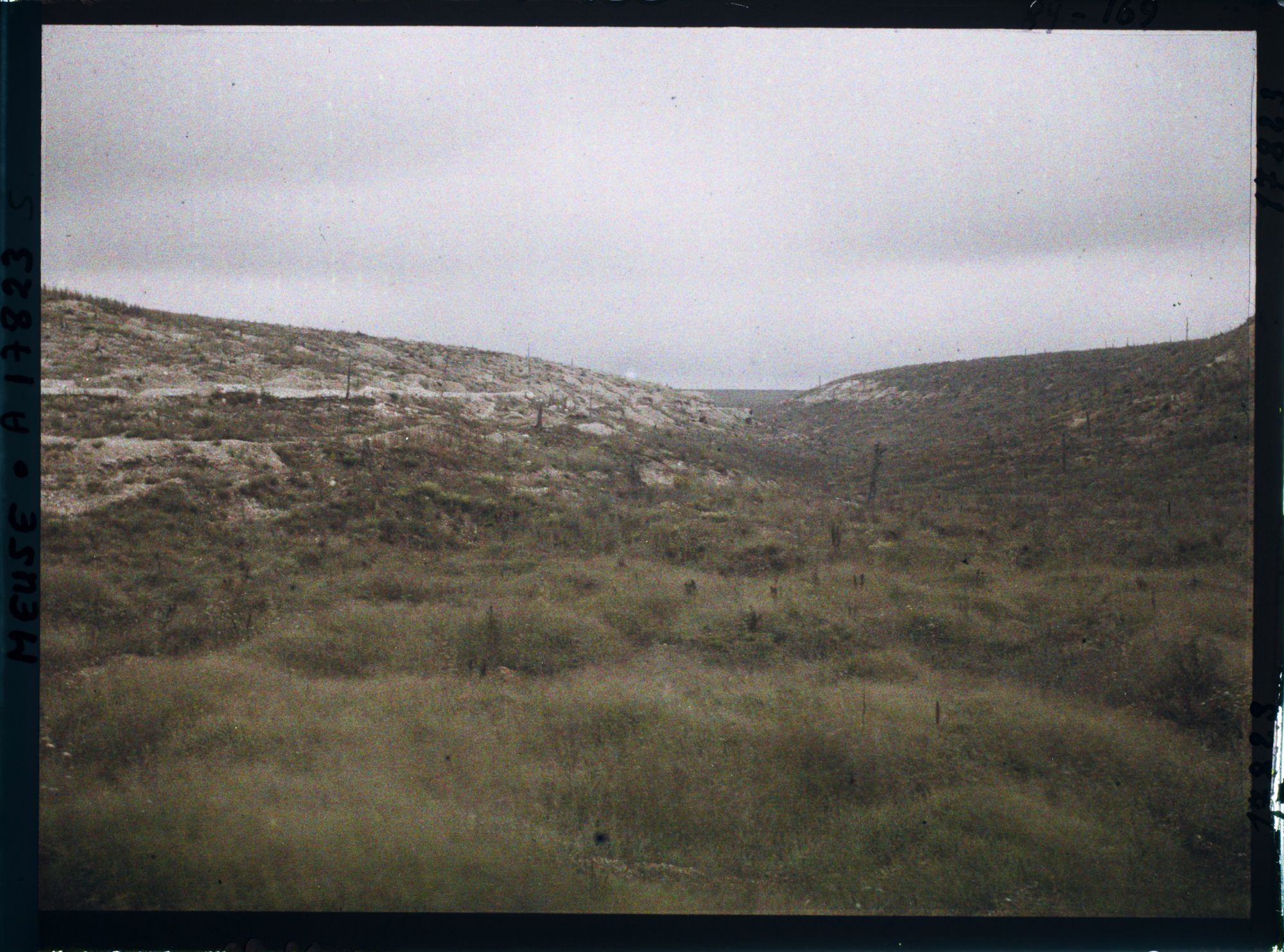 Image représentant France, Haudremont Carrières, Bois près des Carrières d'Haudremont