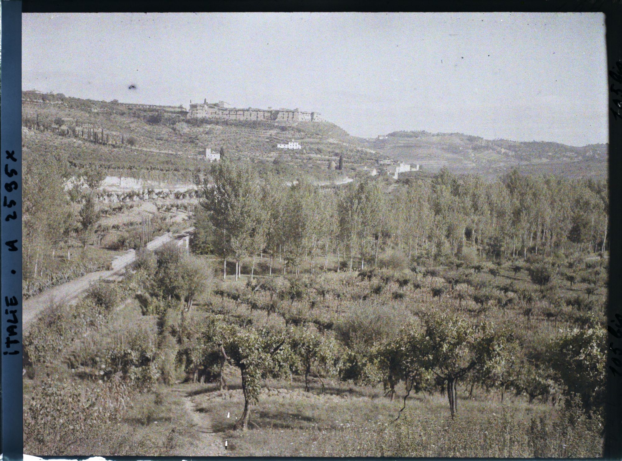 Image représentant Forteresse San Lucchese