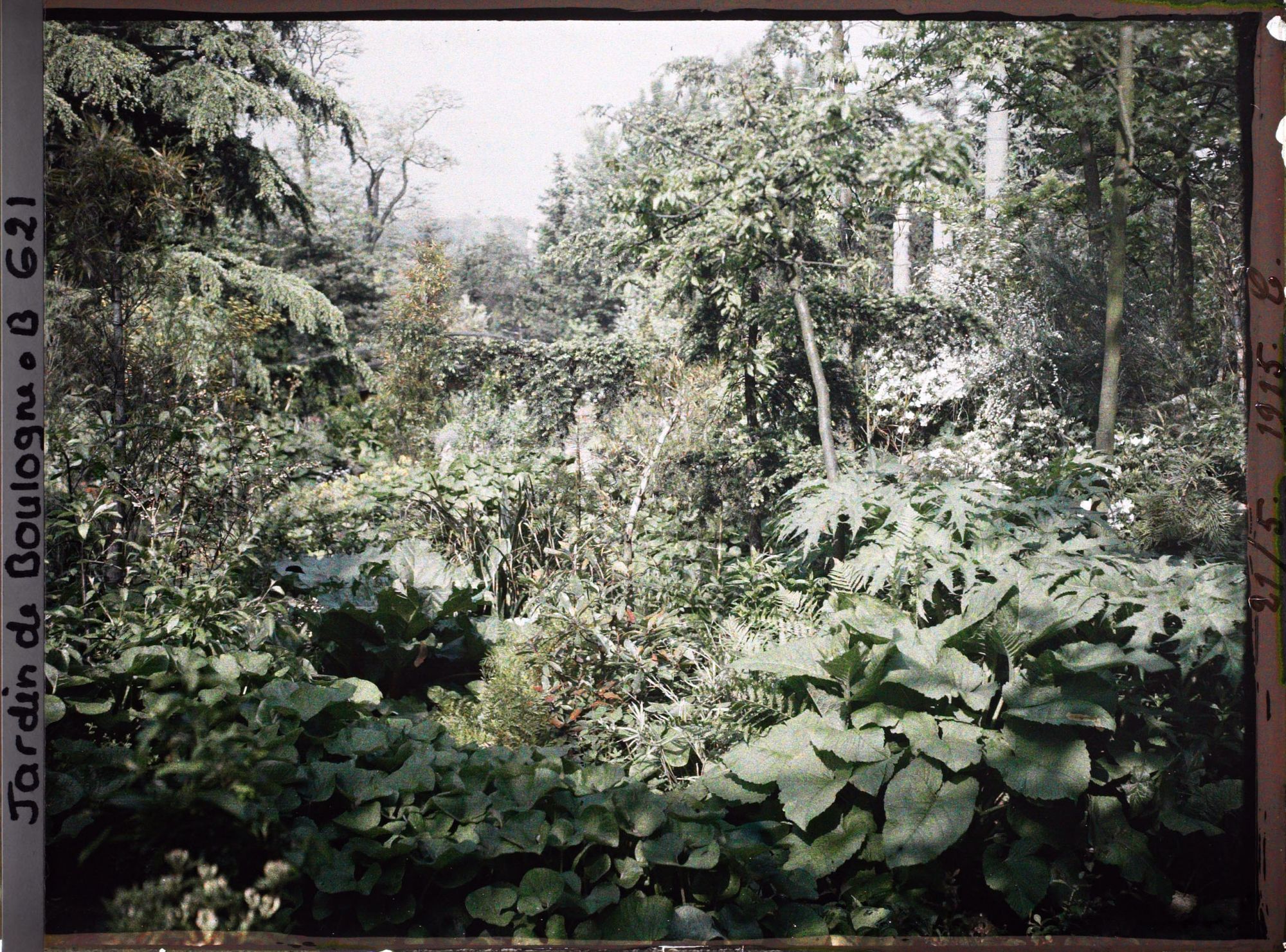 Image représentant Coulée de verdure et pont du " sanctuaire japonais " situés à gauche d'un chemin menant au sorinto