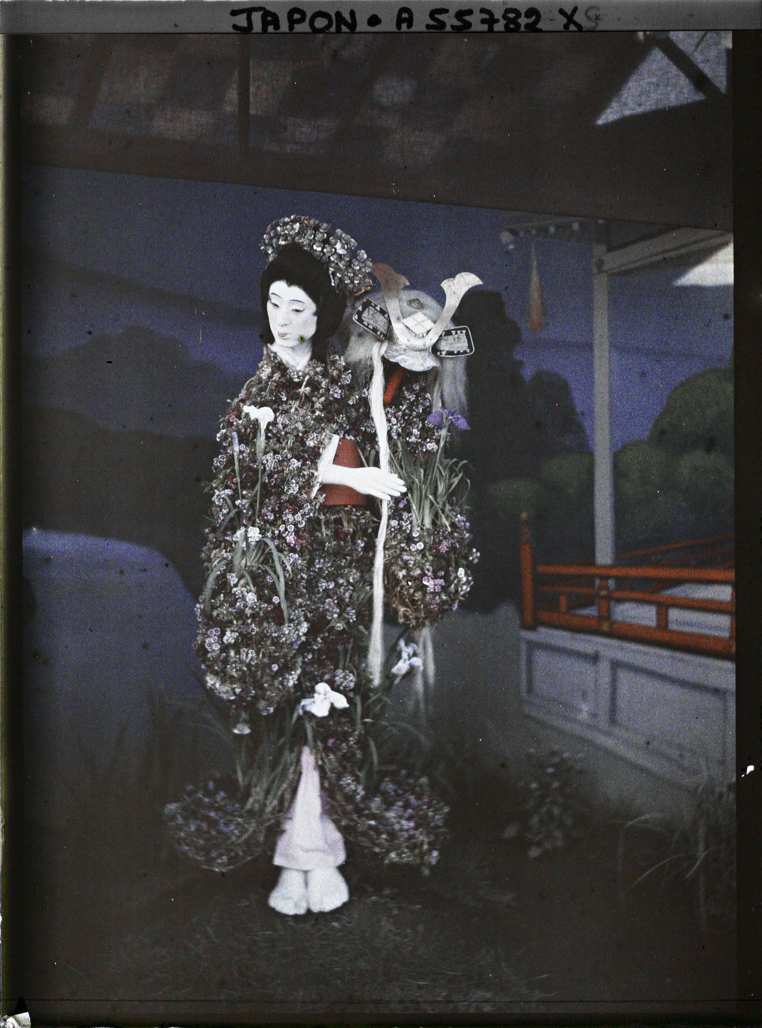 Image représentant jardin Horikiri : ningyô (poupée) exposée durant la floraison des iris