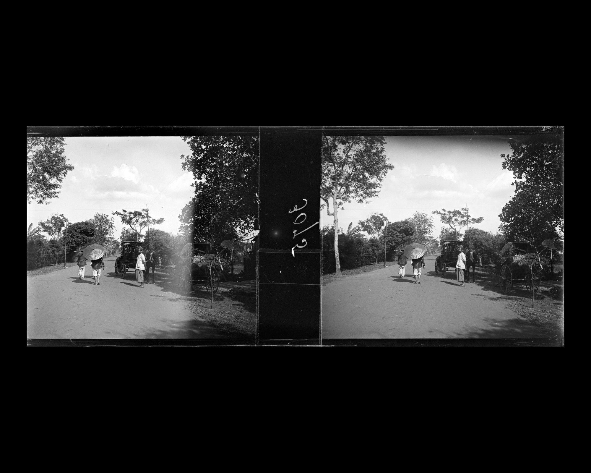 Image représentant Les environs du jardin botanique ?