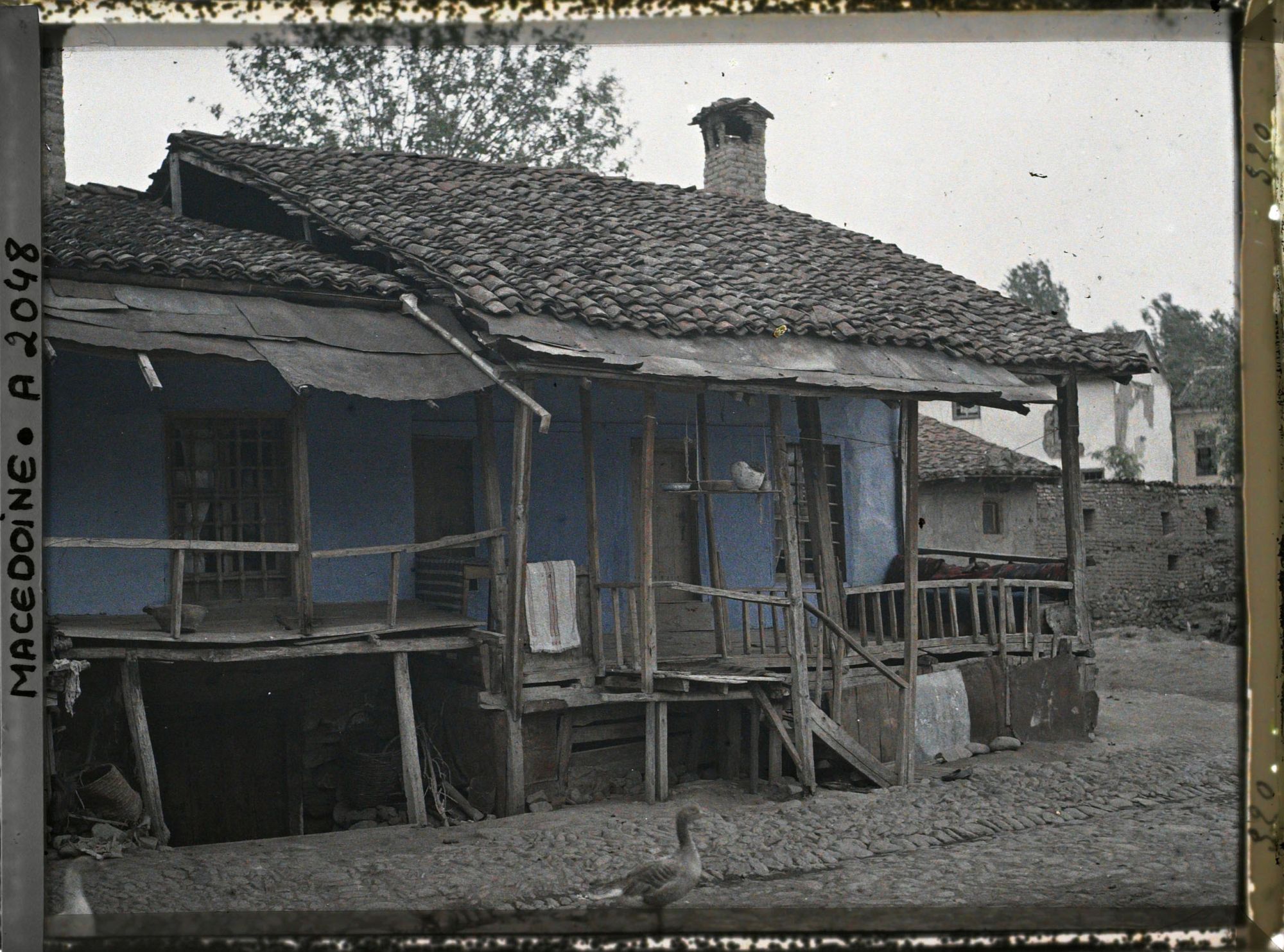 Image représentant Une cour chez les Koutzo-Valaques