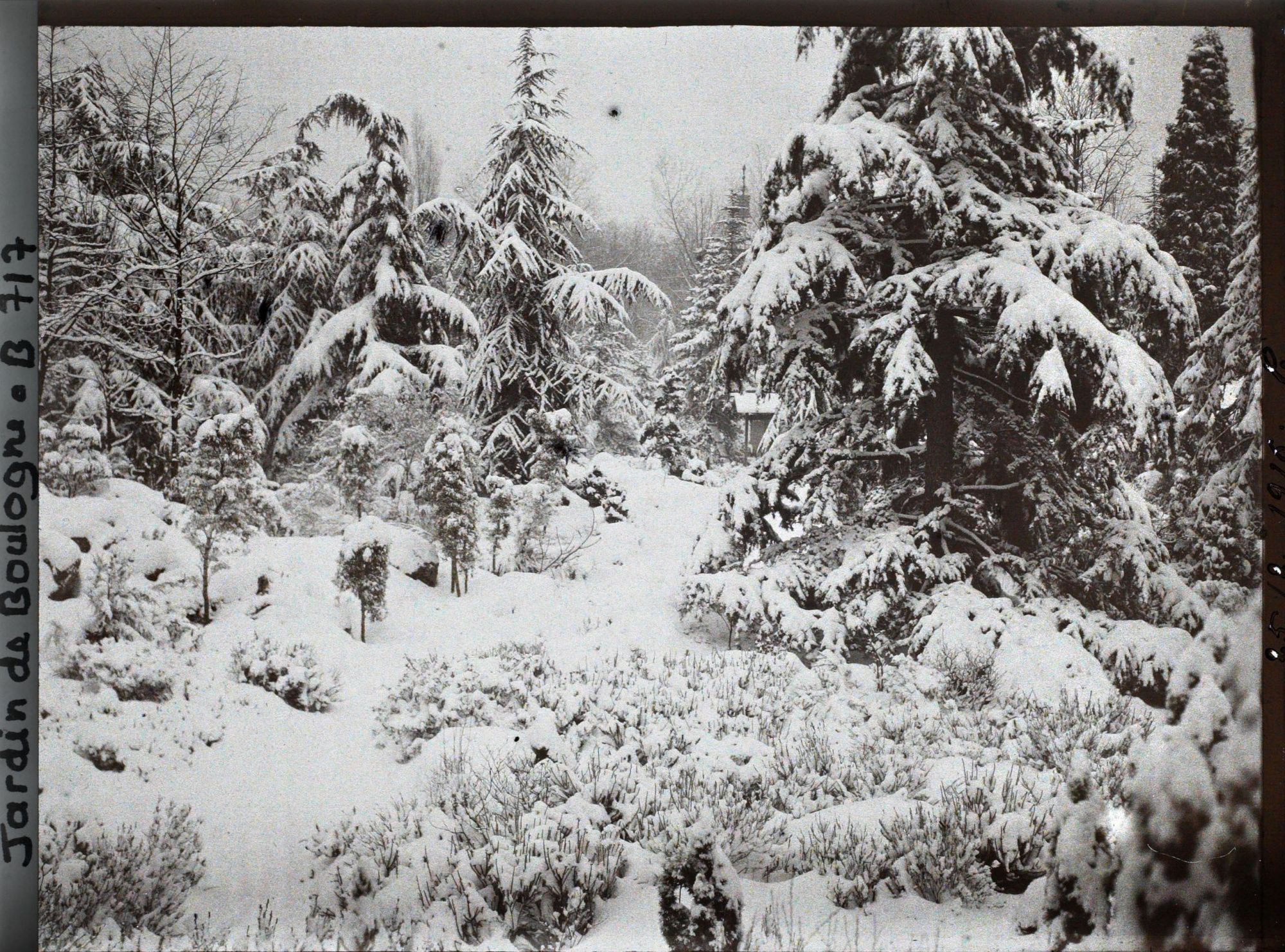Image représentant Espace arboré du " sanctuaire japonais " sous la neige avec une allée menant au " village japonais "