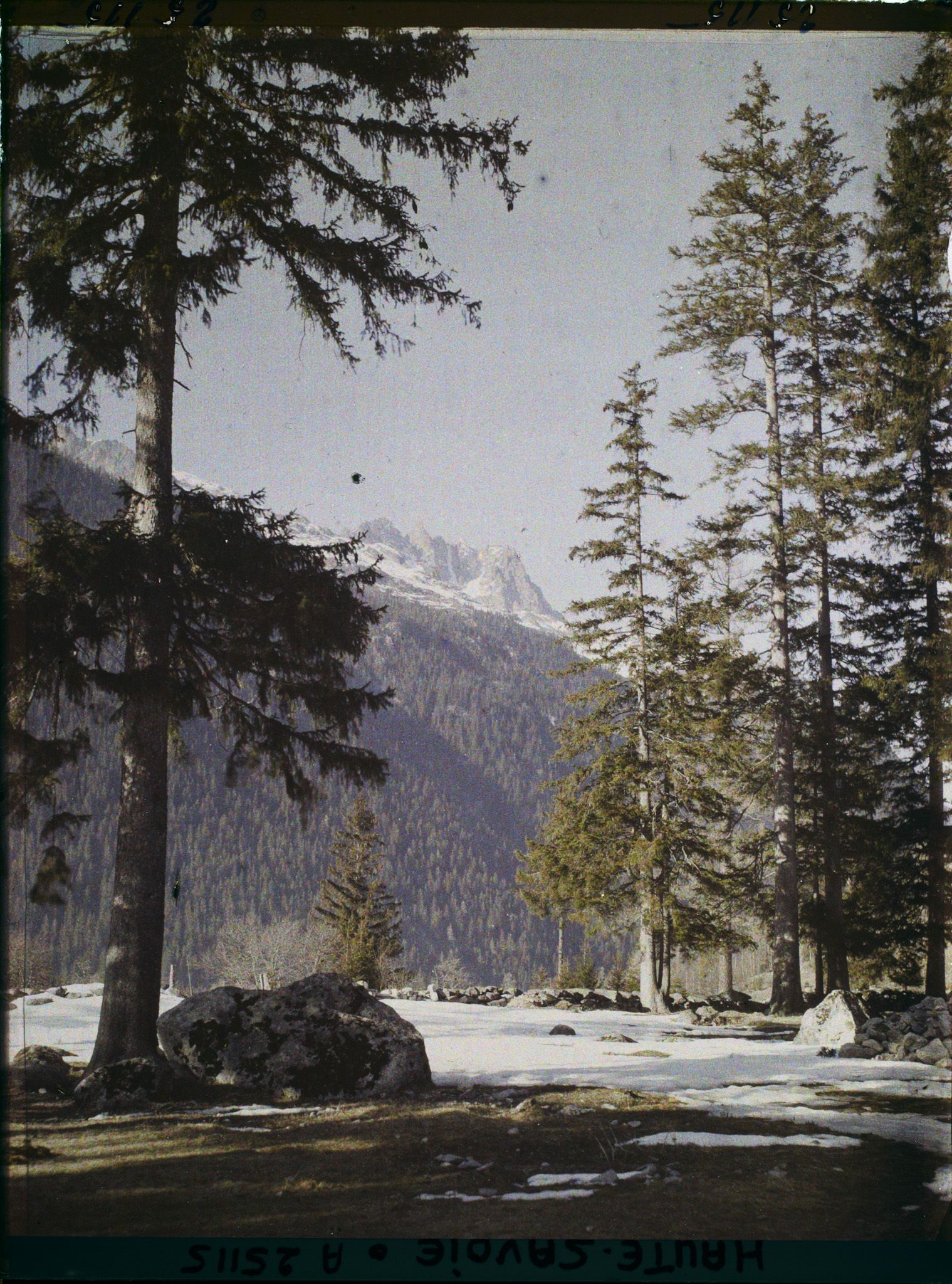 Image représentant France Les Alpes, Vallée de Chamonix, Du Village des Bois : Chaîne du Brévent, les Aiges Rouges