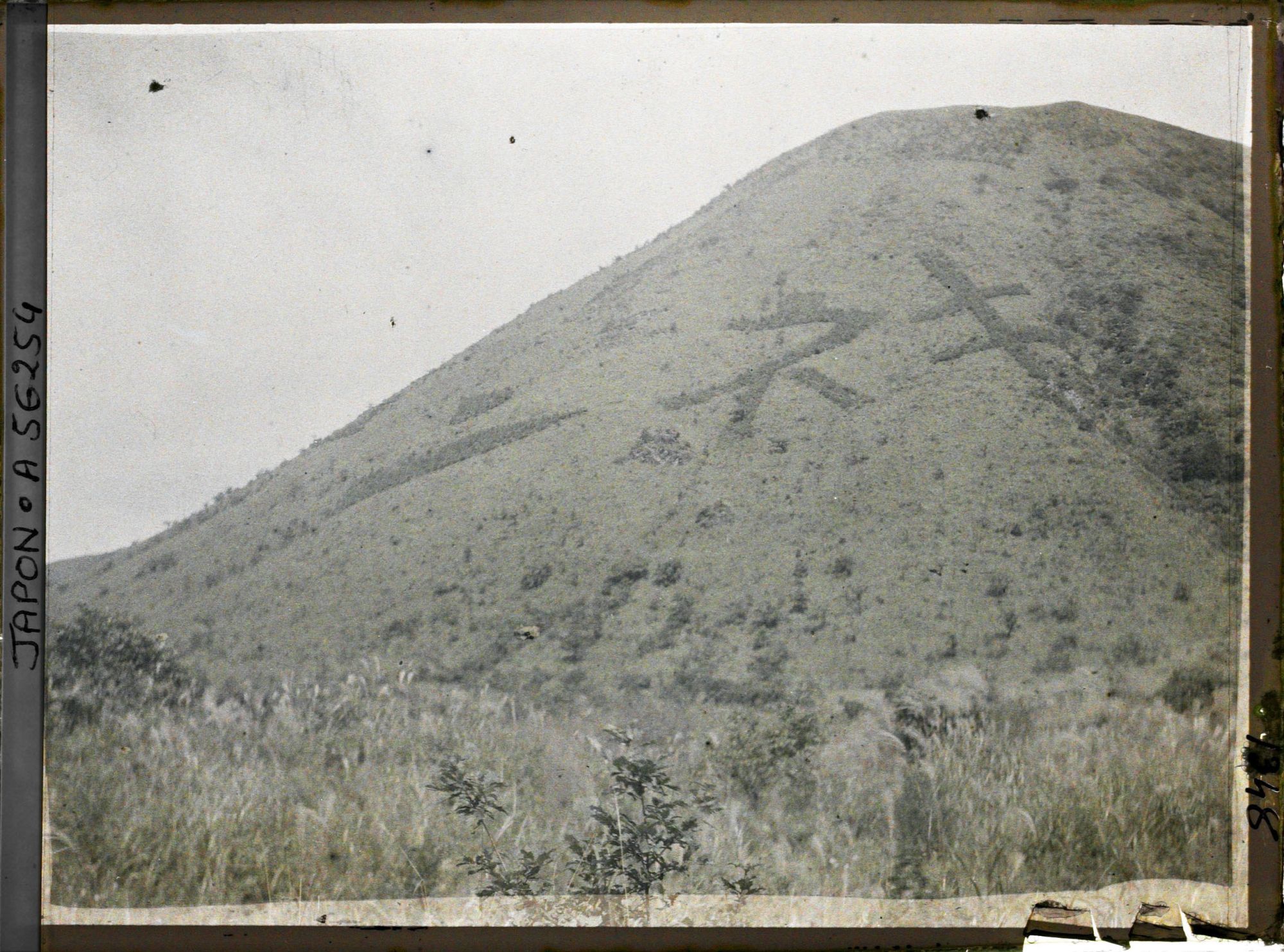 Image représentant Mont Haruna : calligraphie végétale (arbres disposés de façon à former des caractères géants)