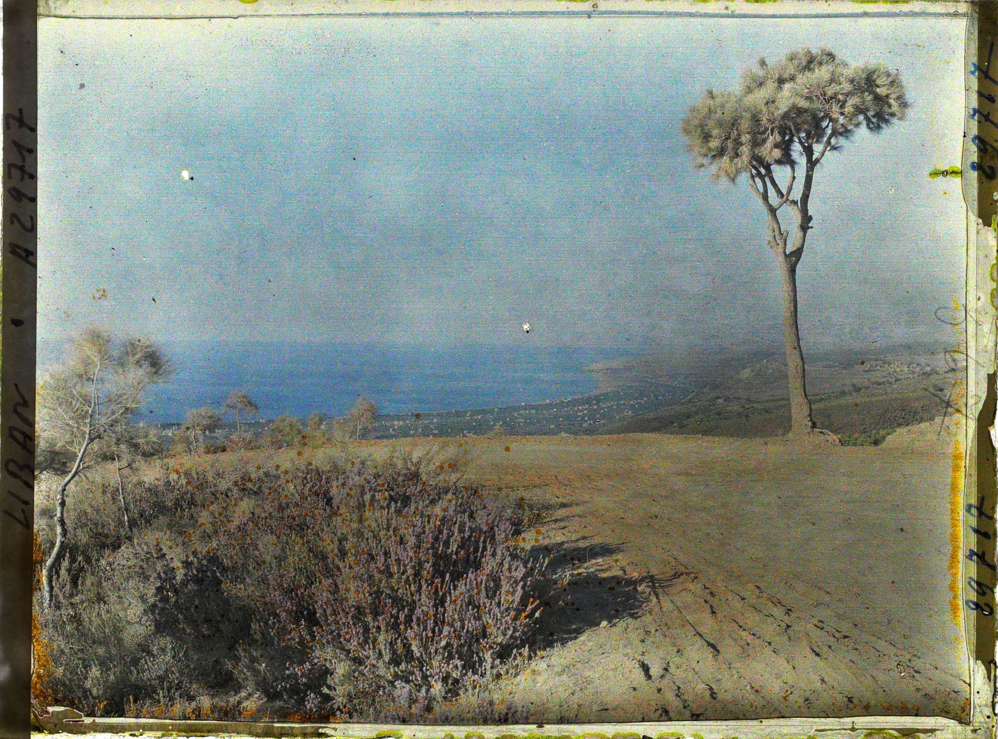 Image représentant Vue sur la baie de Beyrouth en direction du nord