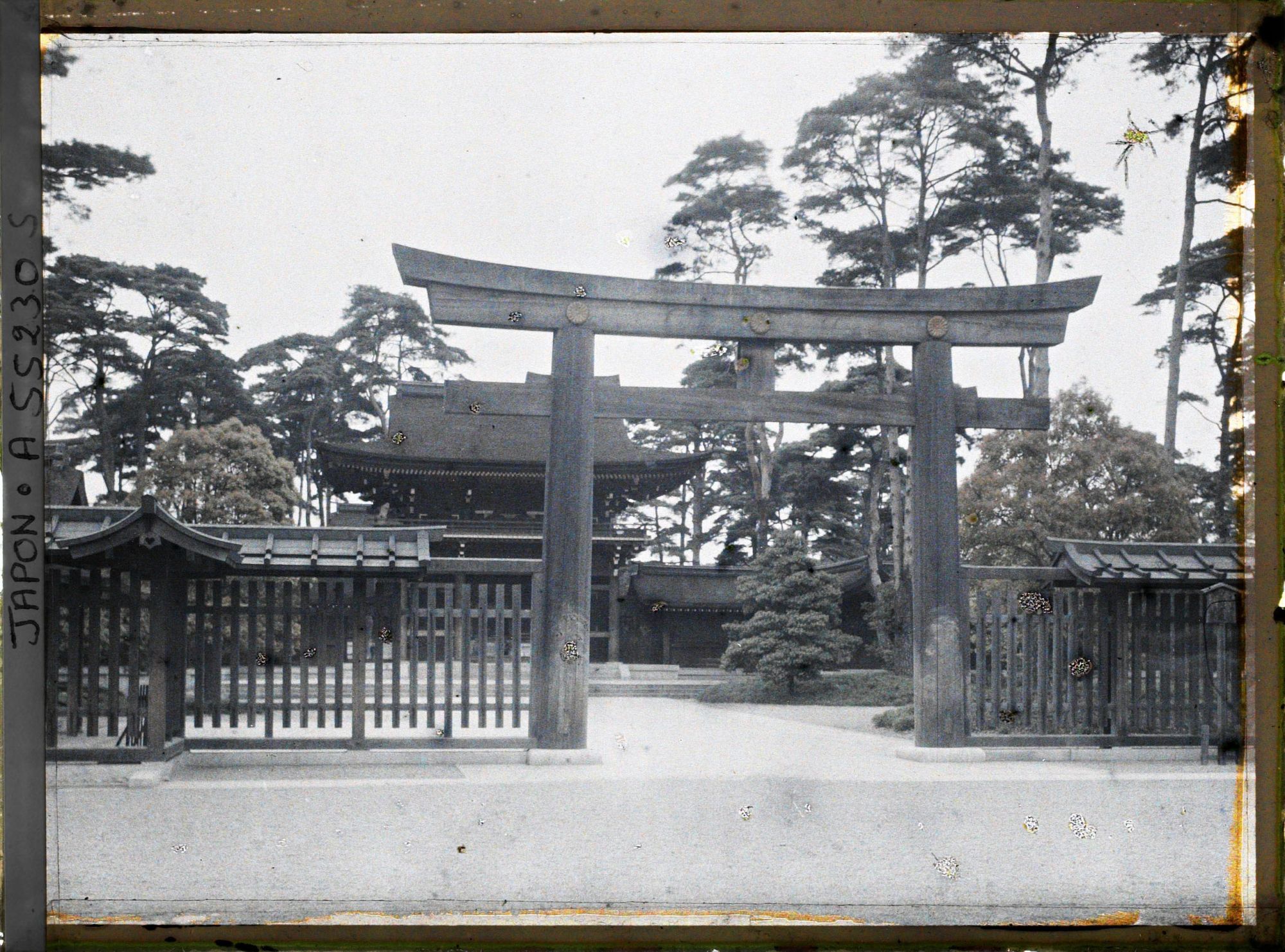 Image représentant Meiji-jingu (sanctuaire dédié à la mémoire de l'Empereur Meiji-tenno), torii et porte monumentale
