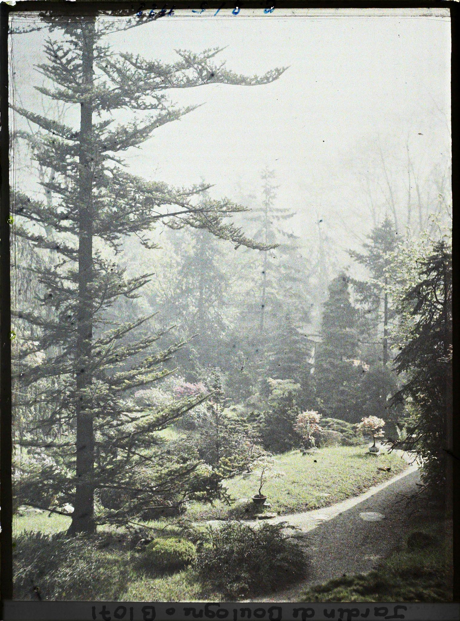 Image représentant Partie de jardin à l'ouest du " village japonais "  dont les arbres dissimulent le pavillon de thé
