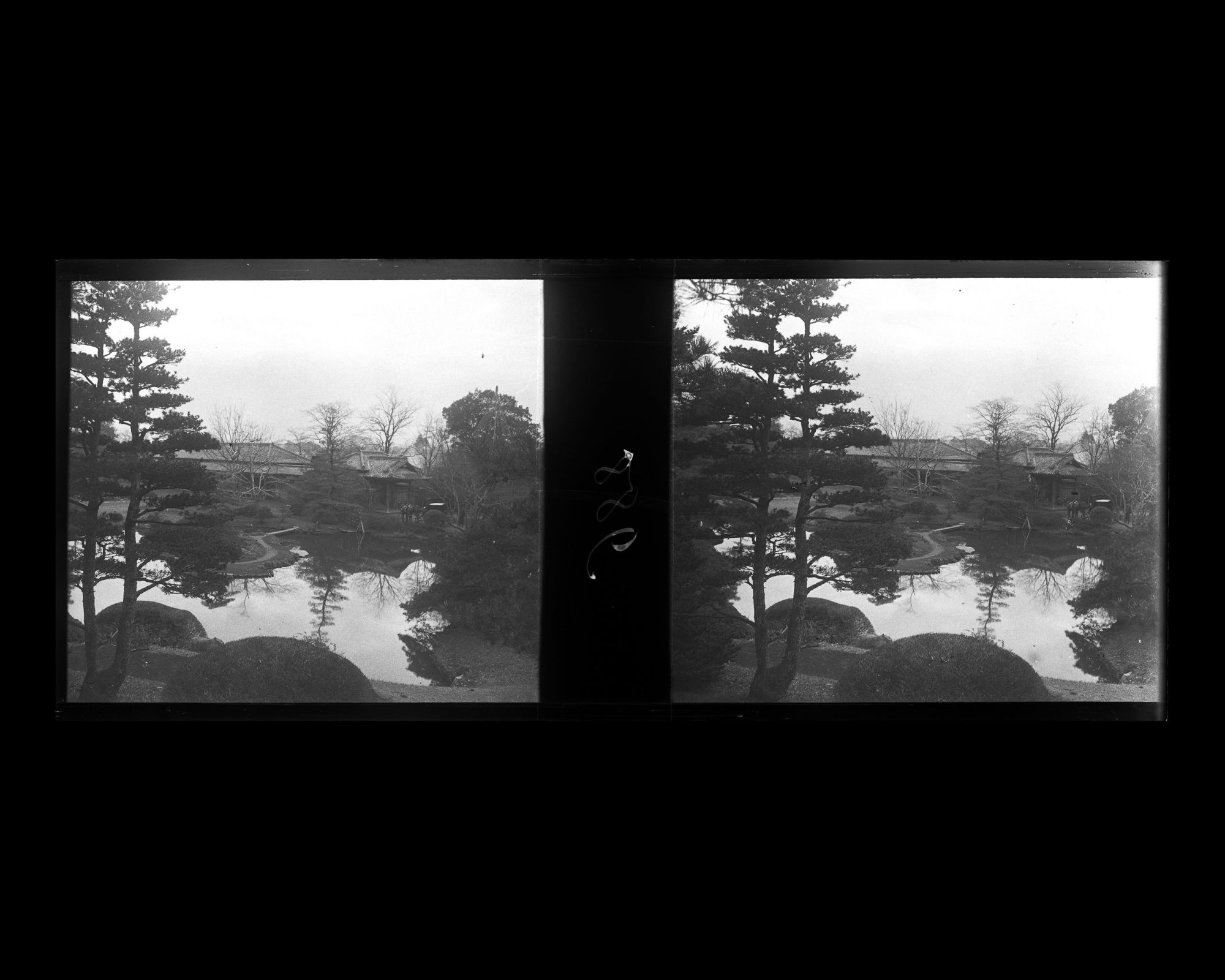 Image représentant Le jardin botanique de l'Université impériale de Tokyo