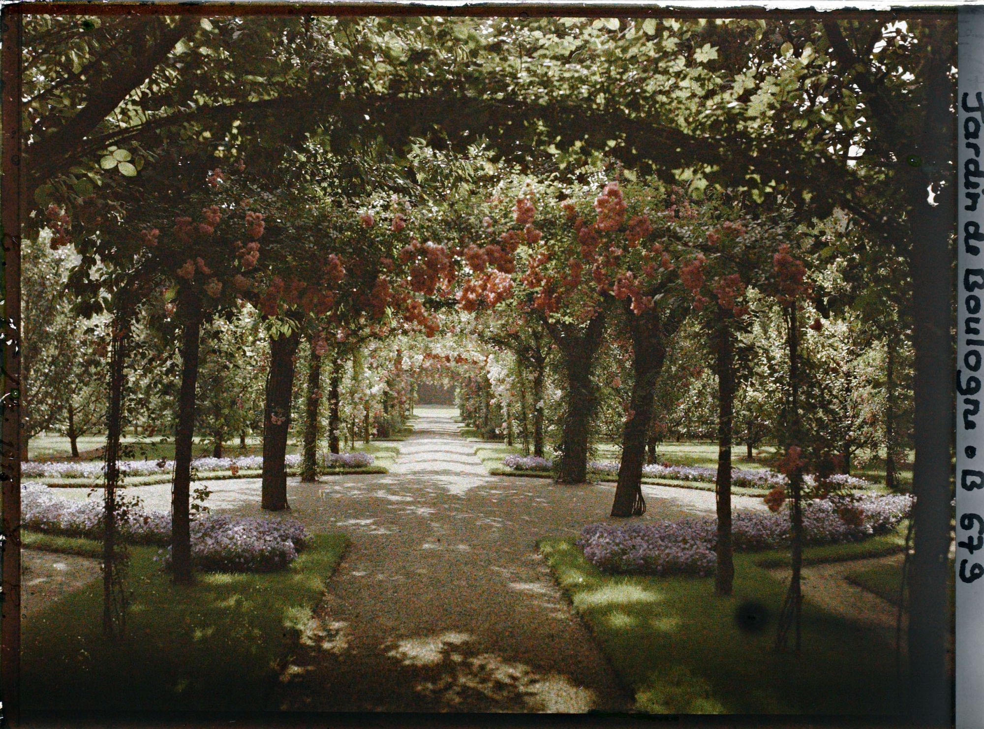 Image représentant IF8032_B000679.jpg