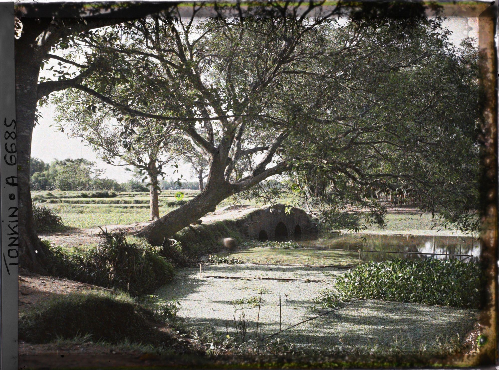 Image représentant Un paysage avec un petit pont