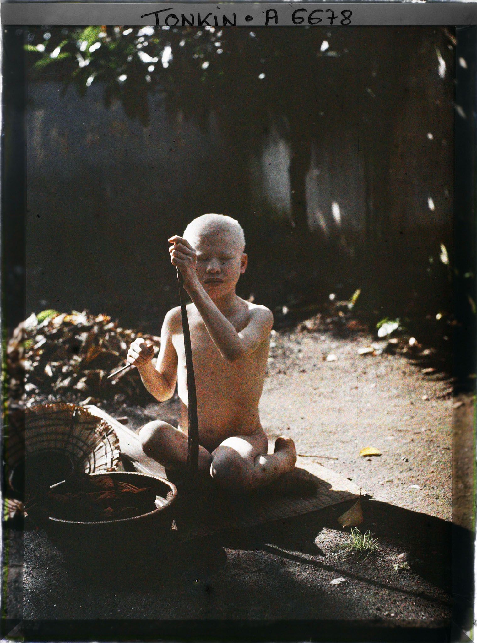 Image représentant Un jeune albinos, assis sur une natte