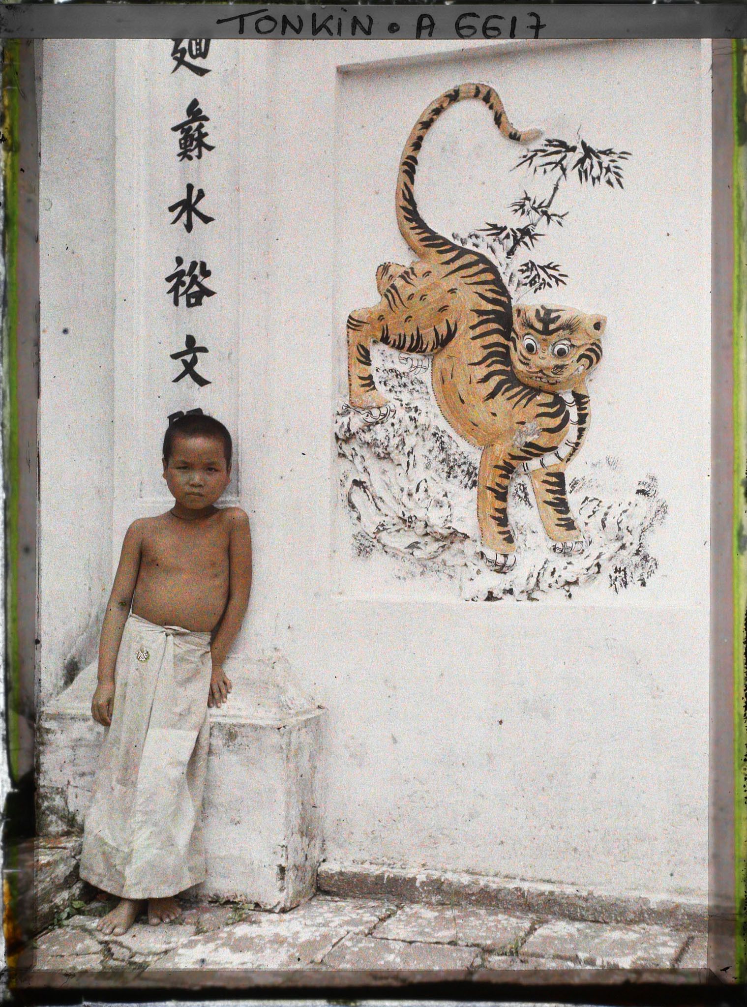 Image représentant Un enfant debout près d'un panneau décoratif peint représentant un tigre, dans la cour intérieure du temple dans le village de Vinh-thuy