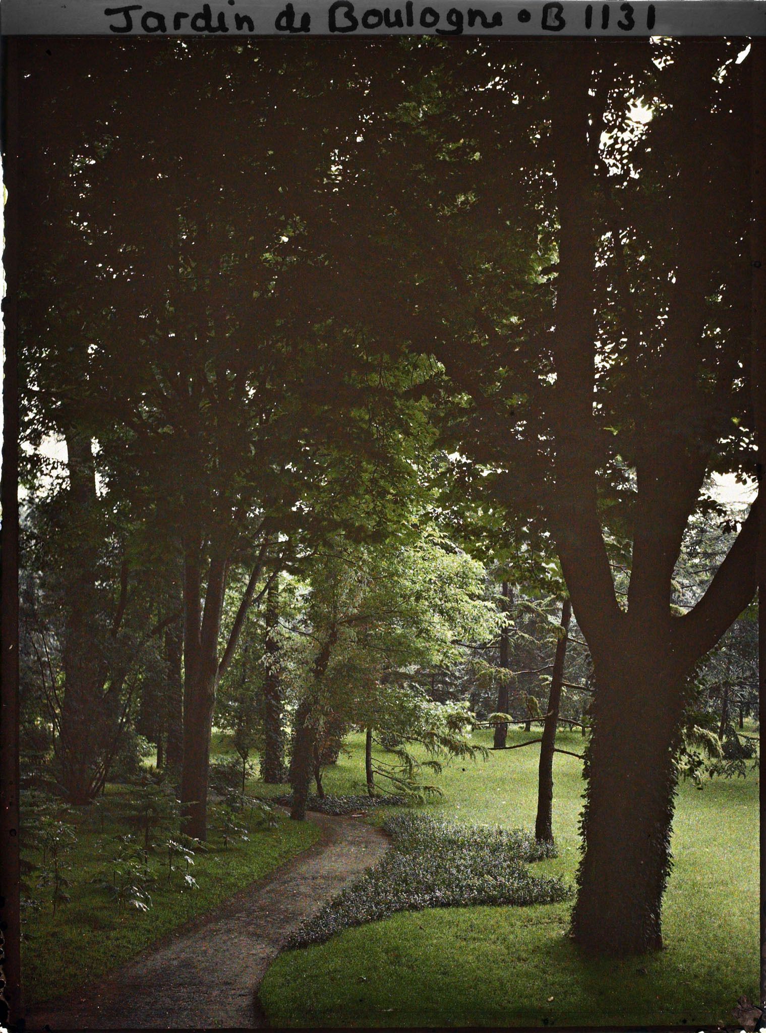 Image représentant Petite allée près de la grande pelouse