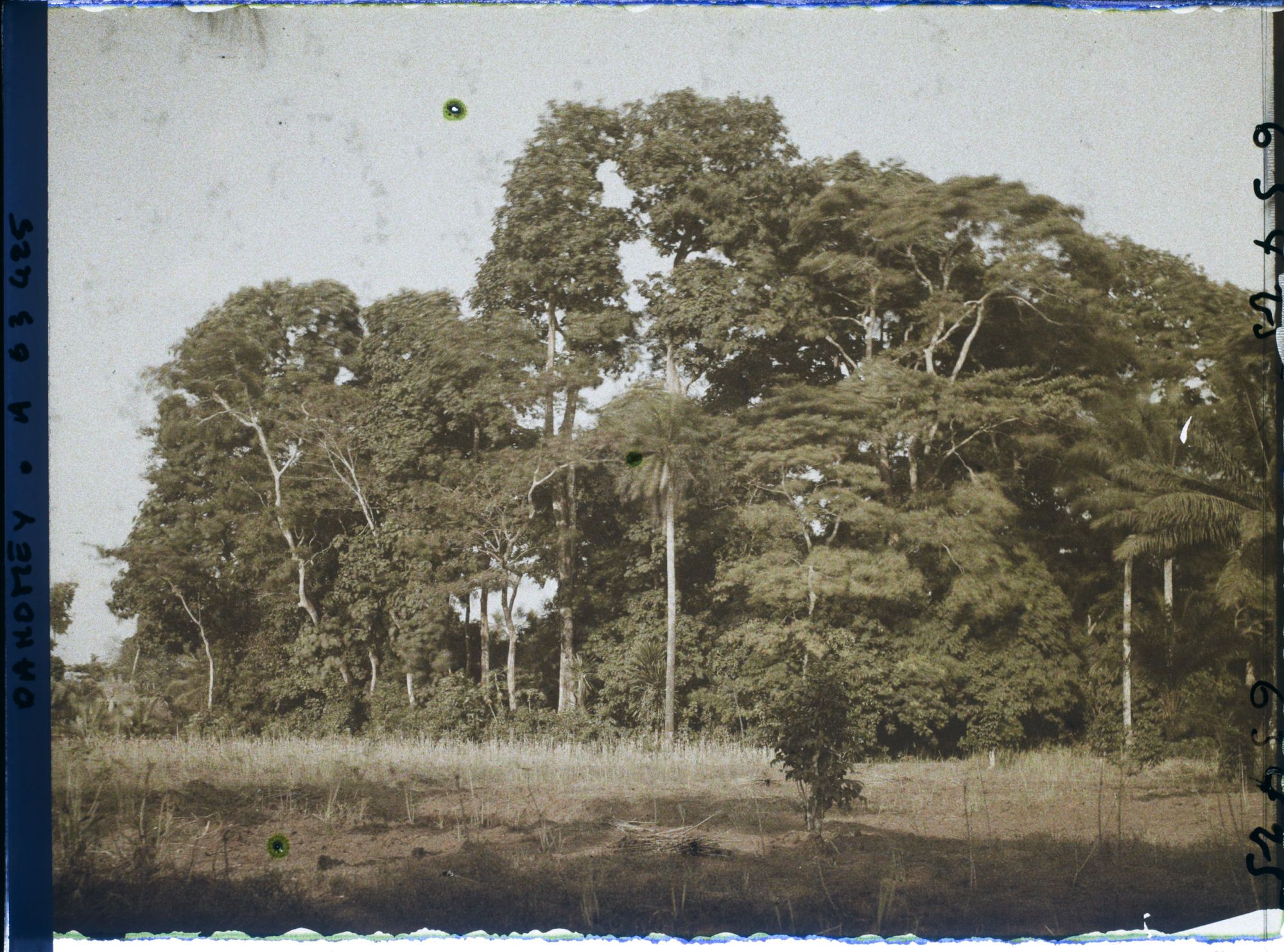 Image représentant Un bois sacré faisant office d'enclos fétichiste