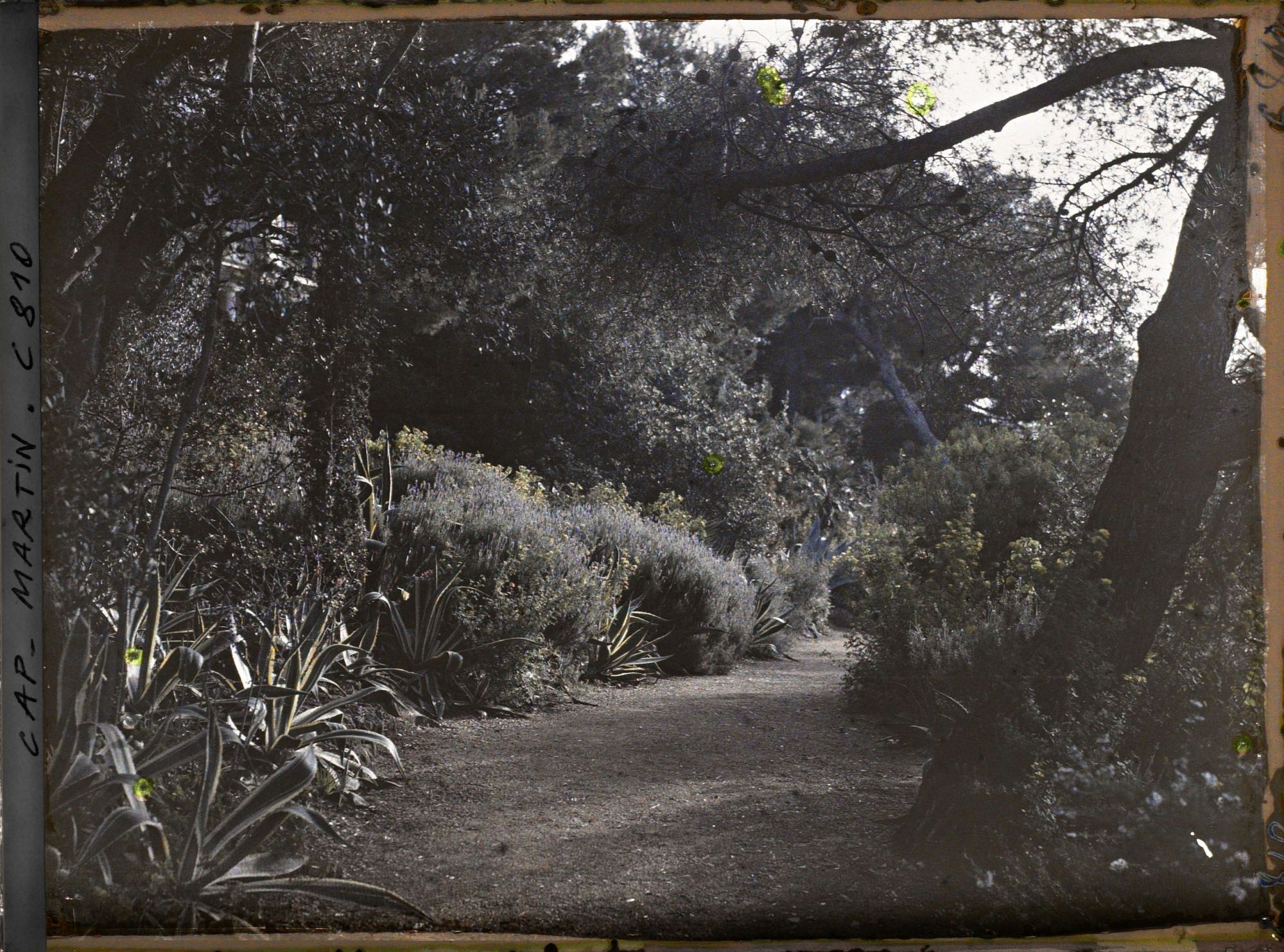 Image représentant Une allée du jardin