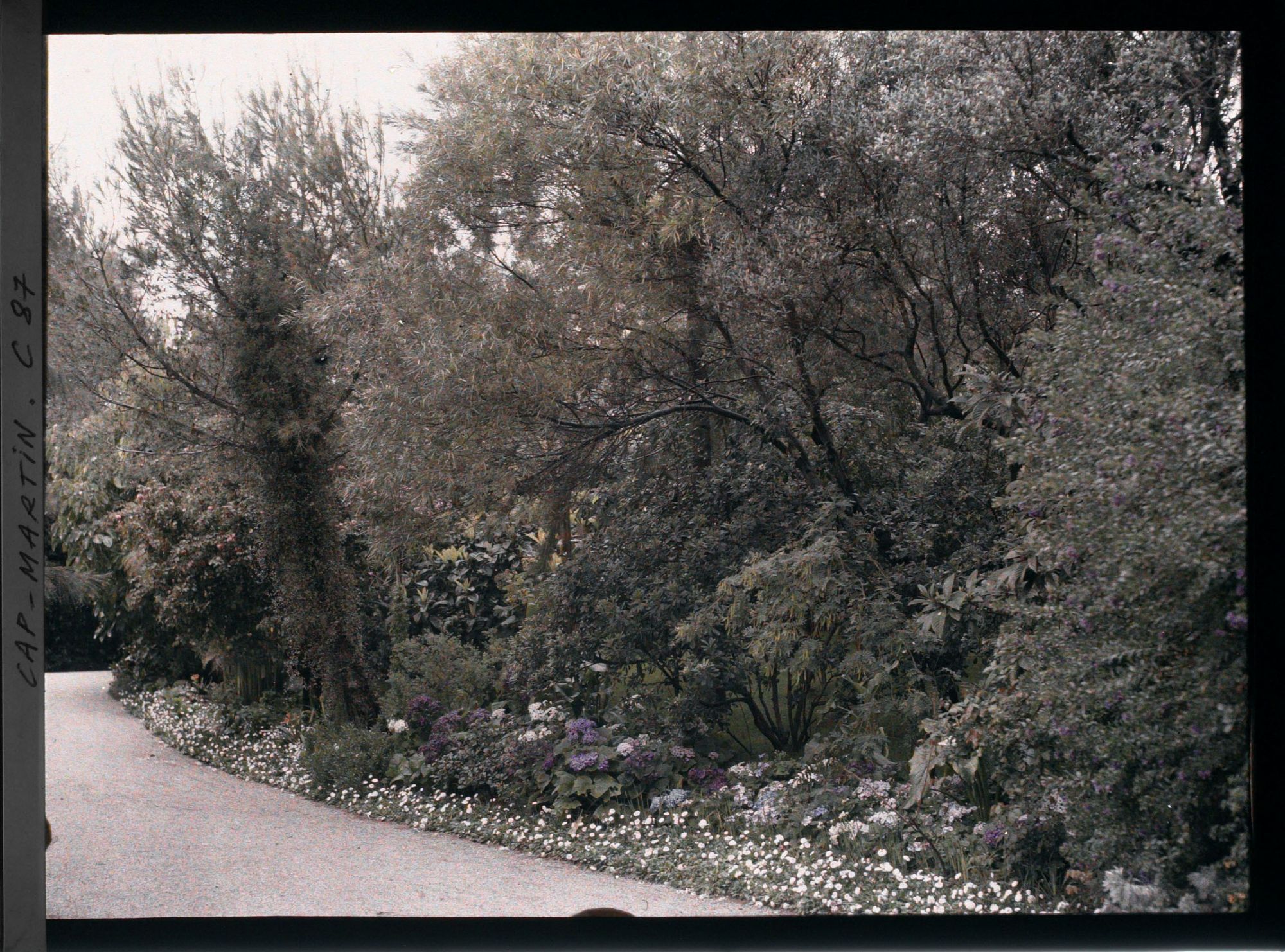 Image représentant Le jardin