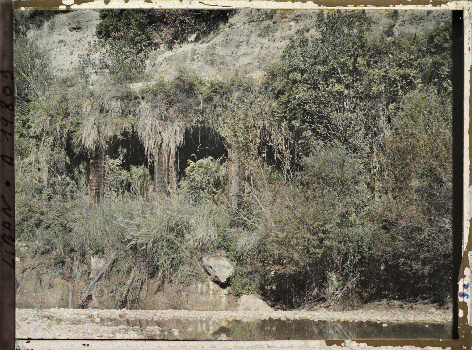 Image représentant Vestiges d'un aqueduc romain sur une berge des gorges de Nahr-el-kelb