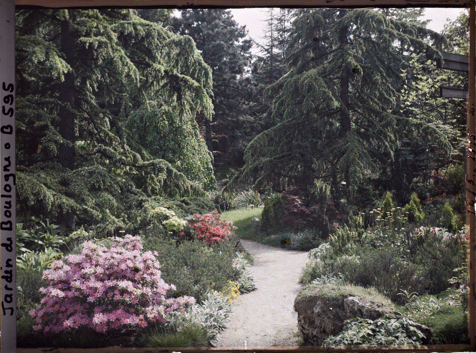 Image représentant Chemin fleuri bordé de grands arbres, situé près du torii et des ponts du " sanctuaire japonais "