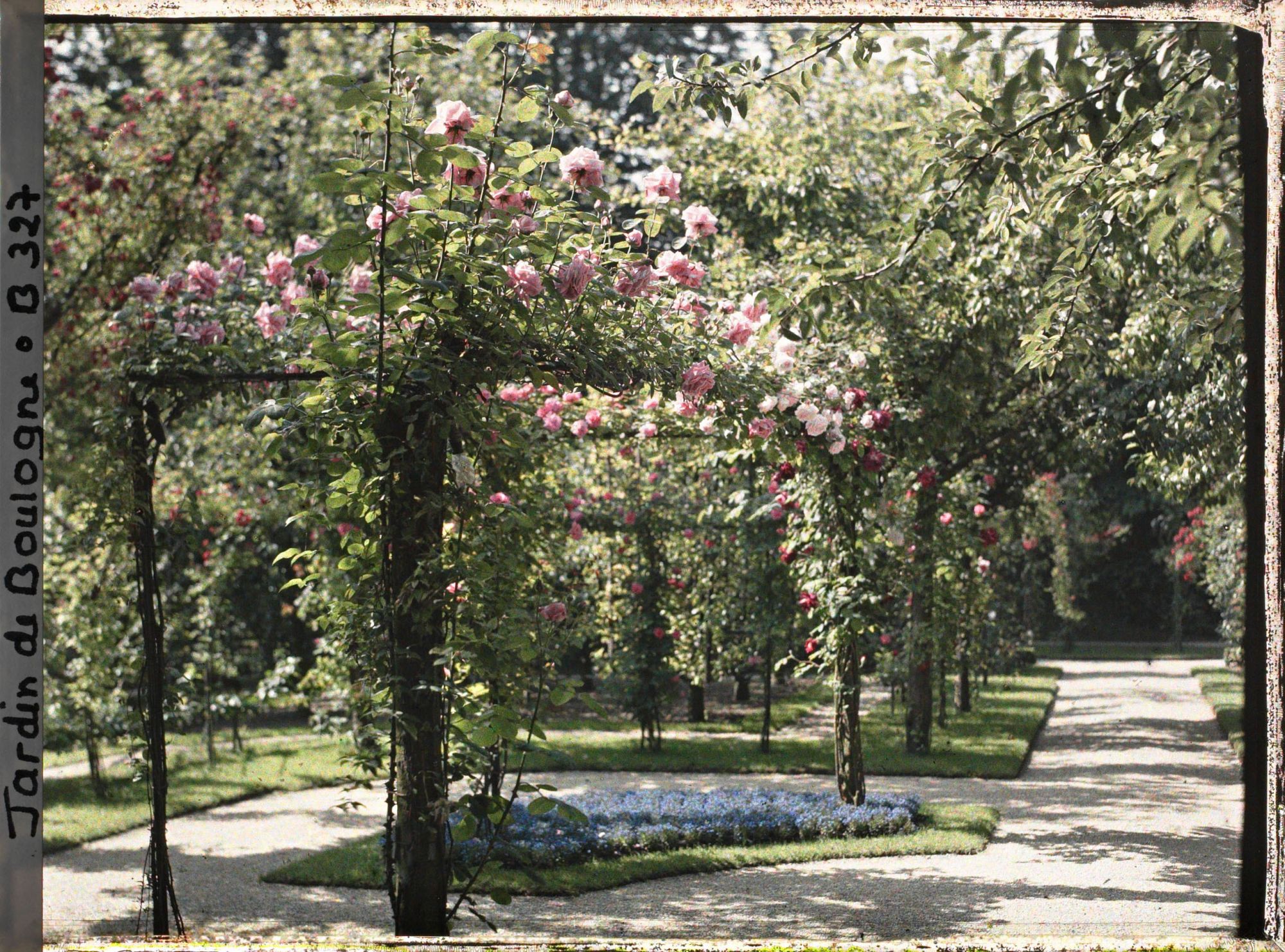 Image représentant Coin du verger-roseraie vu en direction du sud, depuis le rond-point proche du jardin français