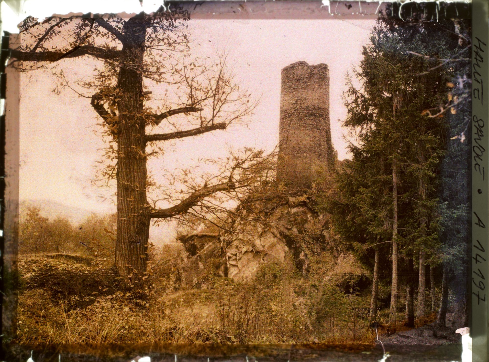 Image représentant Région de Thonon, Chateau de la Rochette