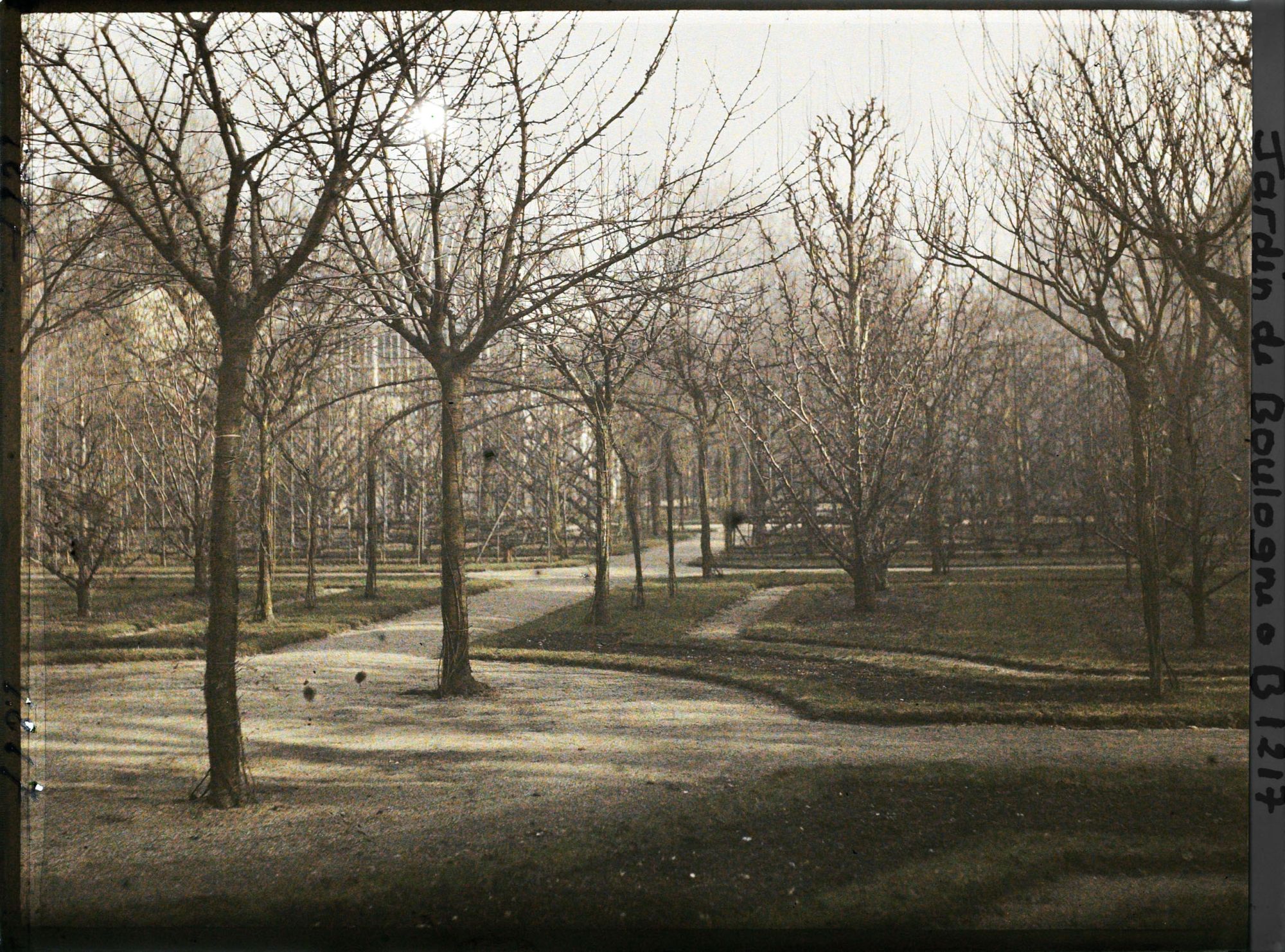 Image représentant Coin du verger-roseraie, vu depuis un parterre sud-ouest du rond-point proche de la dépendance
