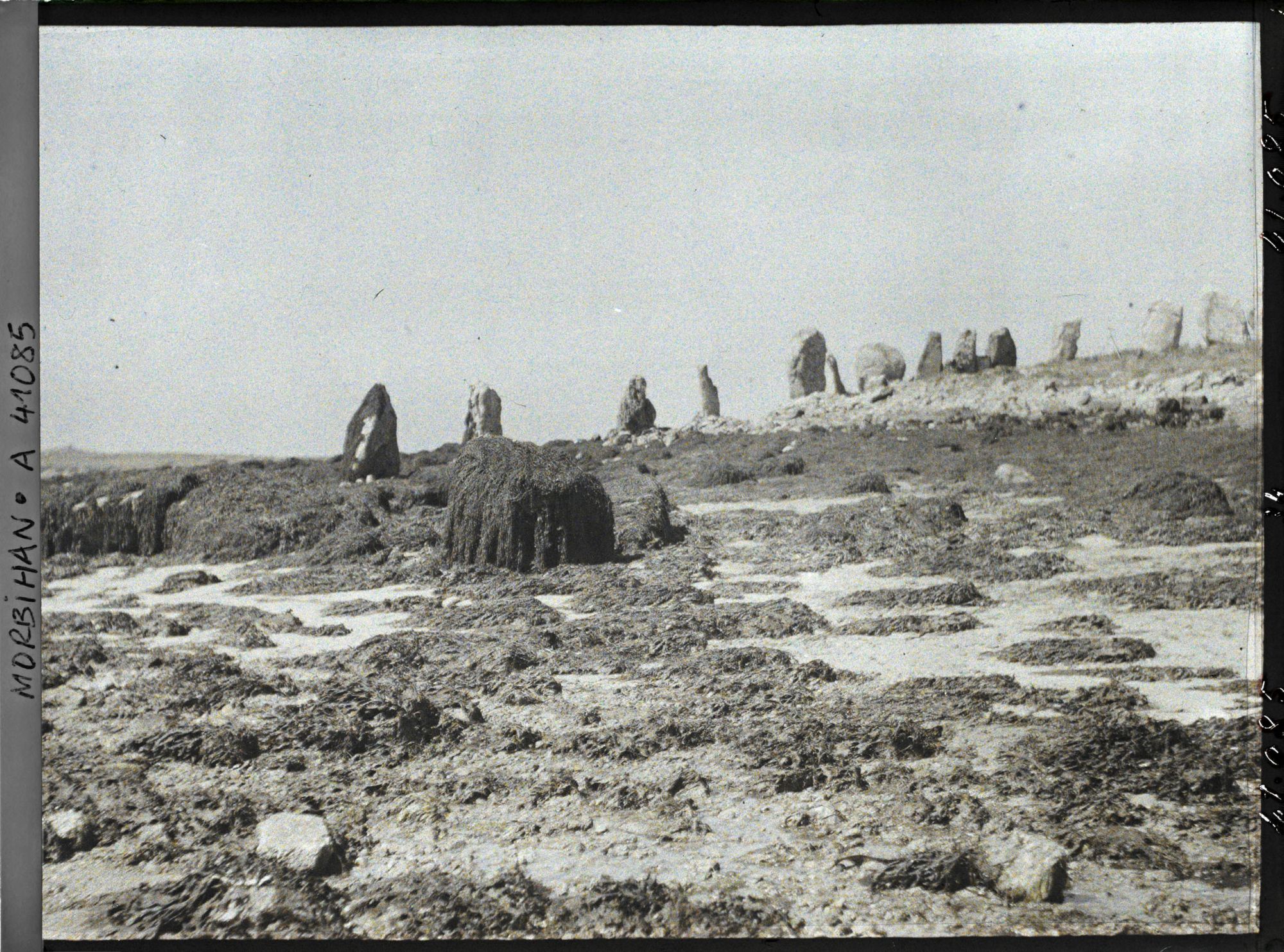 Image représentant Les cromlechs d'Er Lannic à marée basse