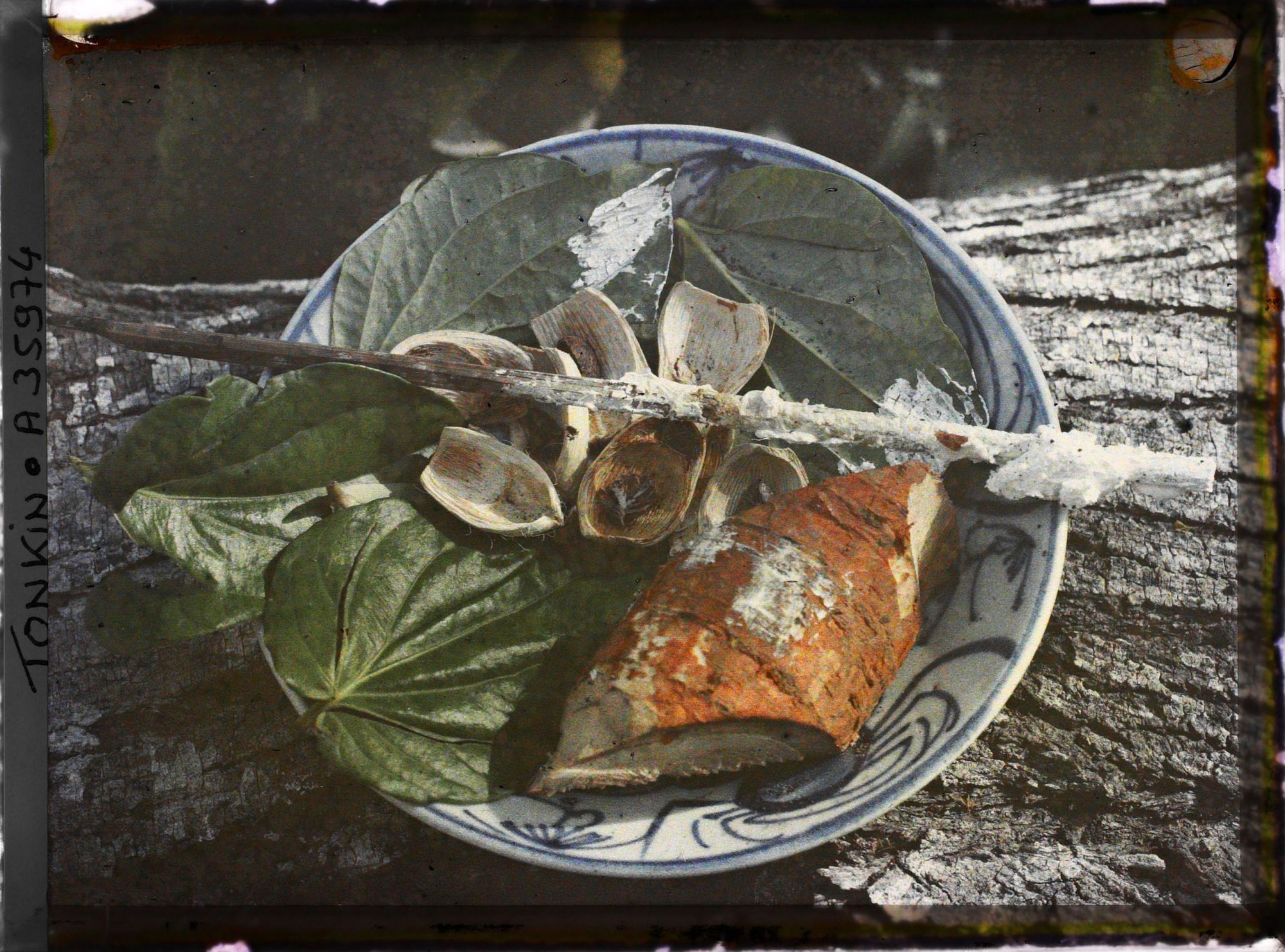 Image représentant Les éléments nécessaires à la mastication du bétel : racine de vô chay, noix d'arec, feuilles de bétel et bâtonnet enduit de chaux éteinte