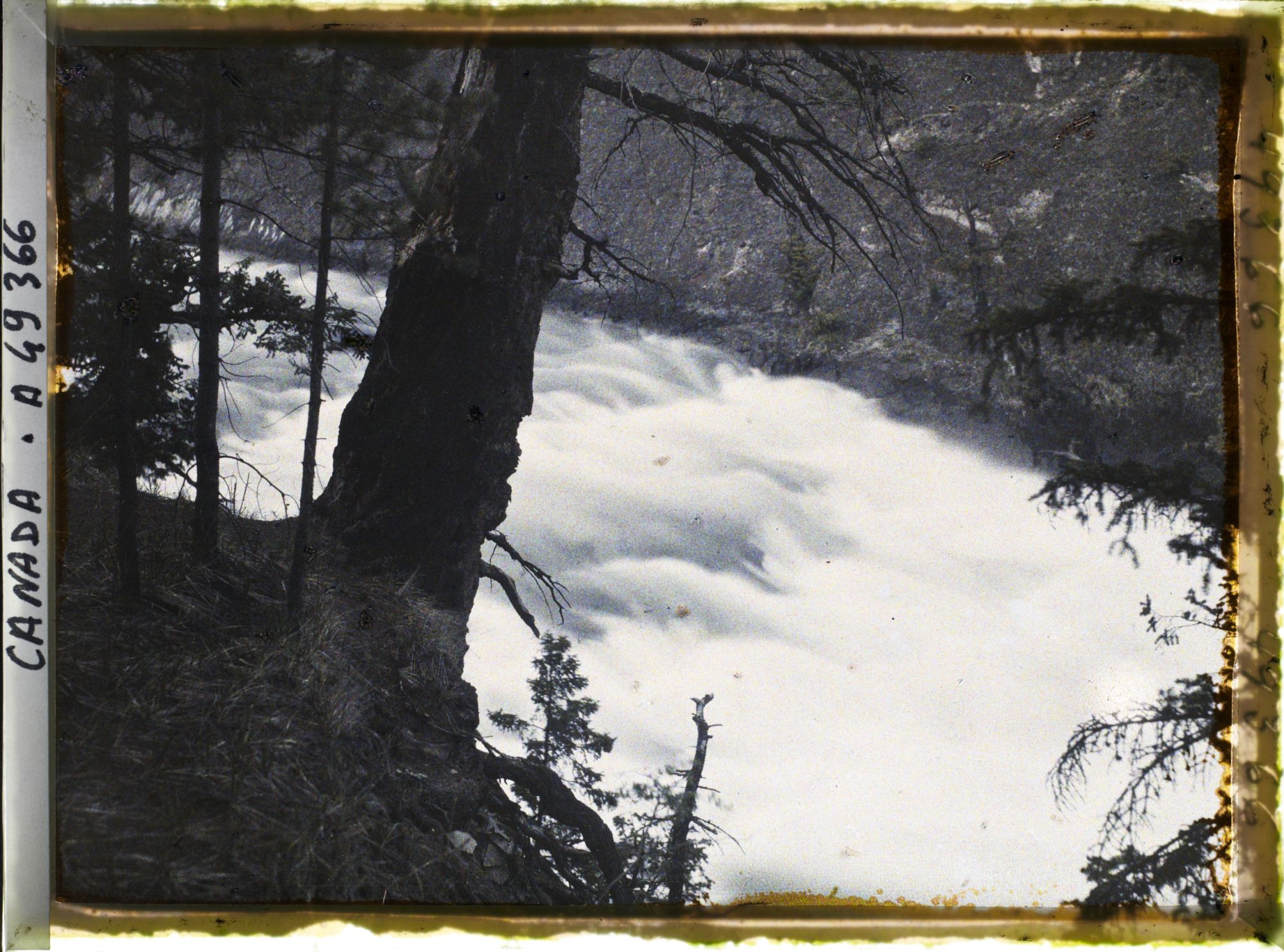 Image représentant Canada, Banff, Rapides de la Bow