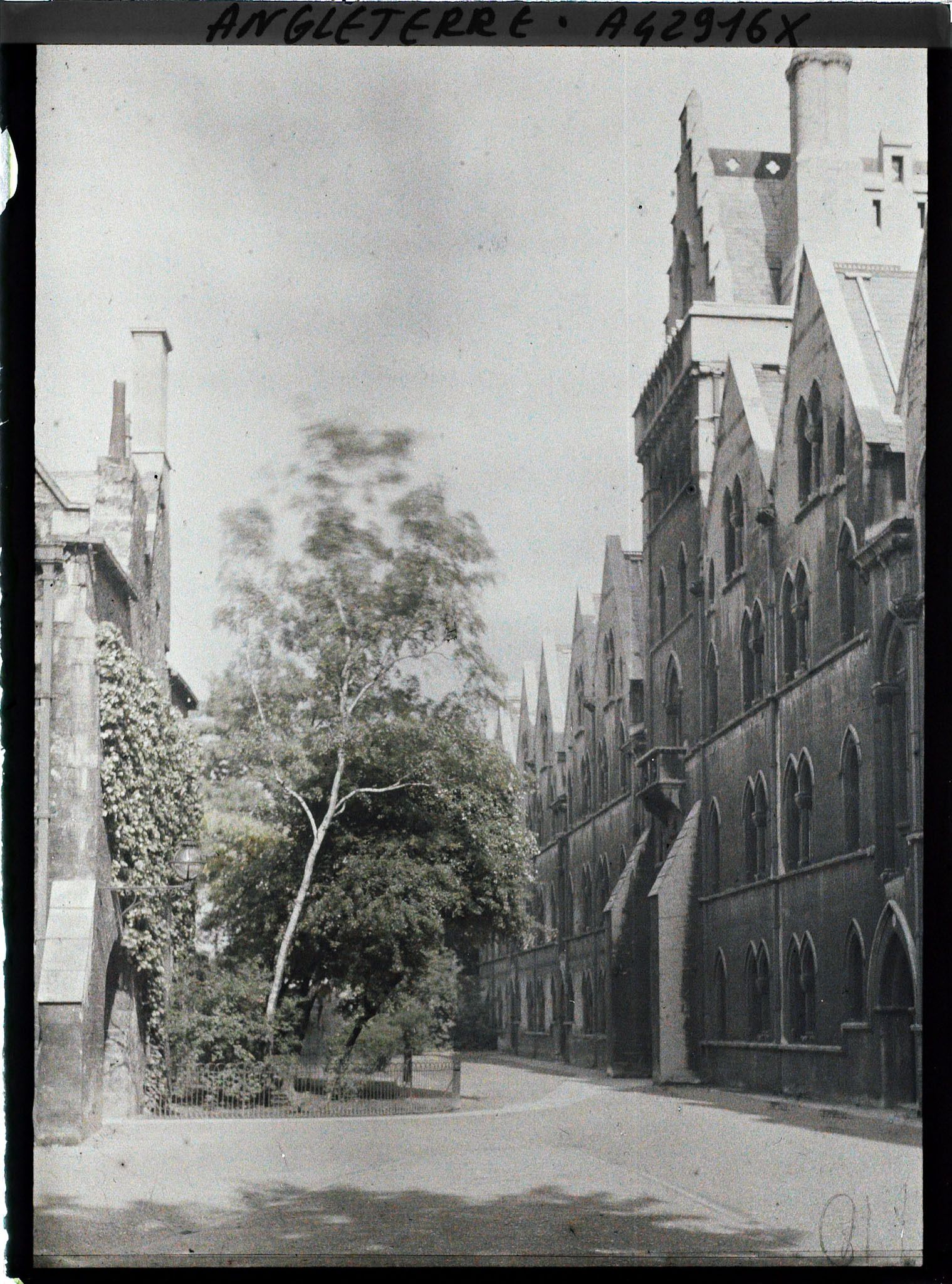 Image représentant Partie occidentale de Christ Church