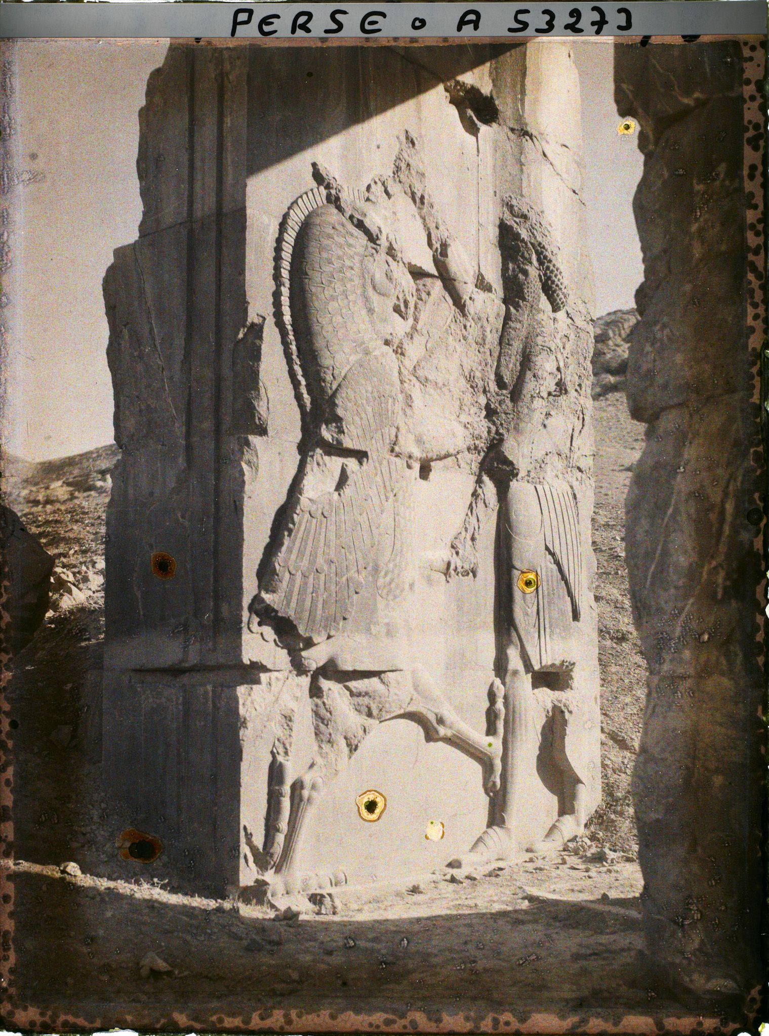 Image représentant Bas-relief représentant Darius 1er luttant contre un animal fabuleux, palais des cent colonnes
