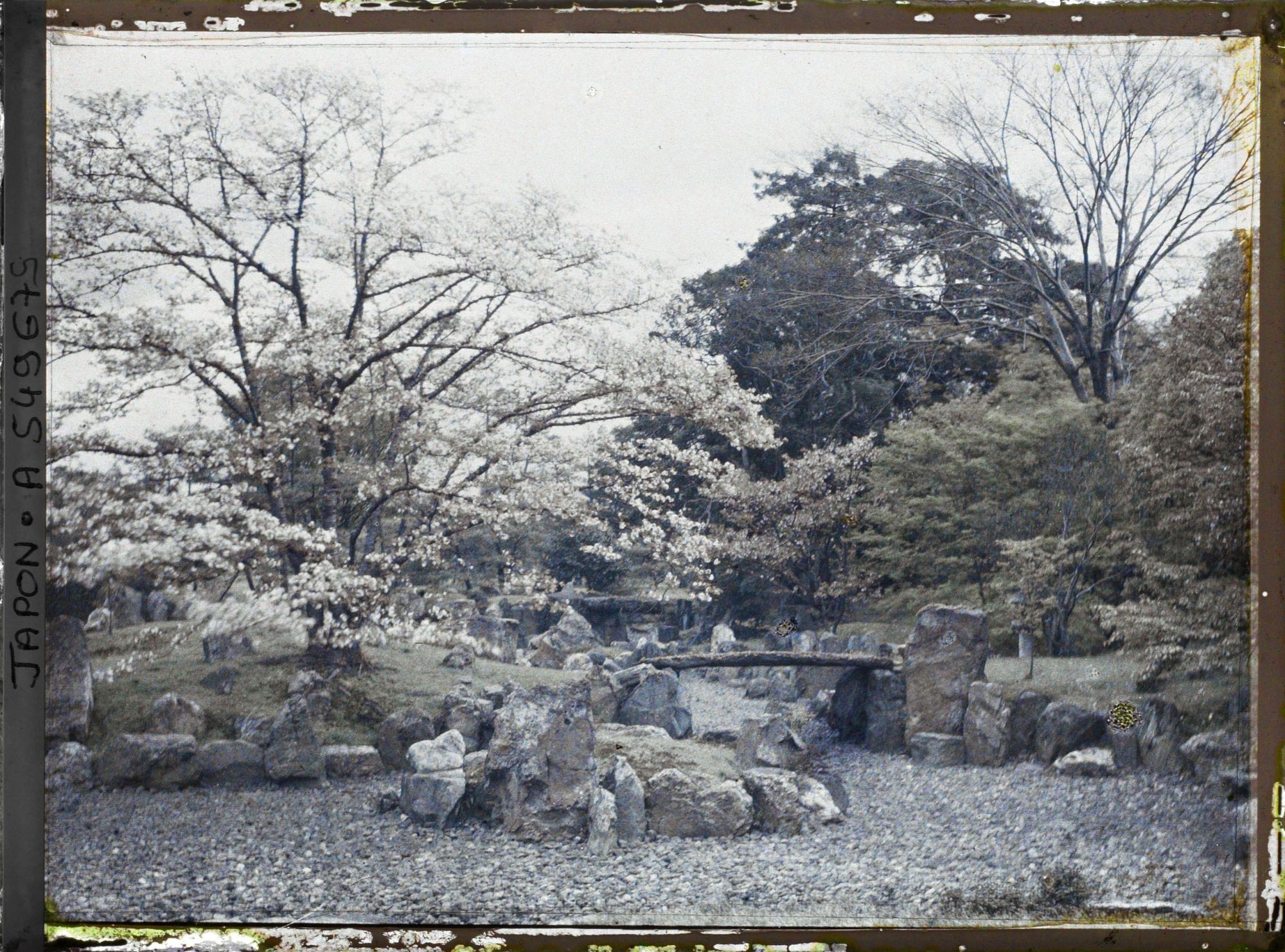 Image représentant Palais Nijô-jô : jardin du Ni-no-Maru