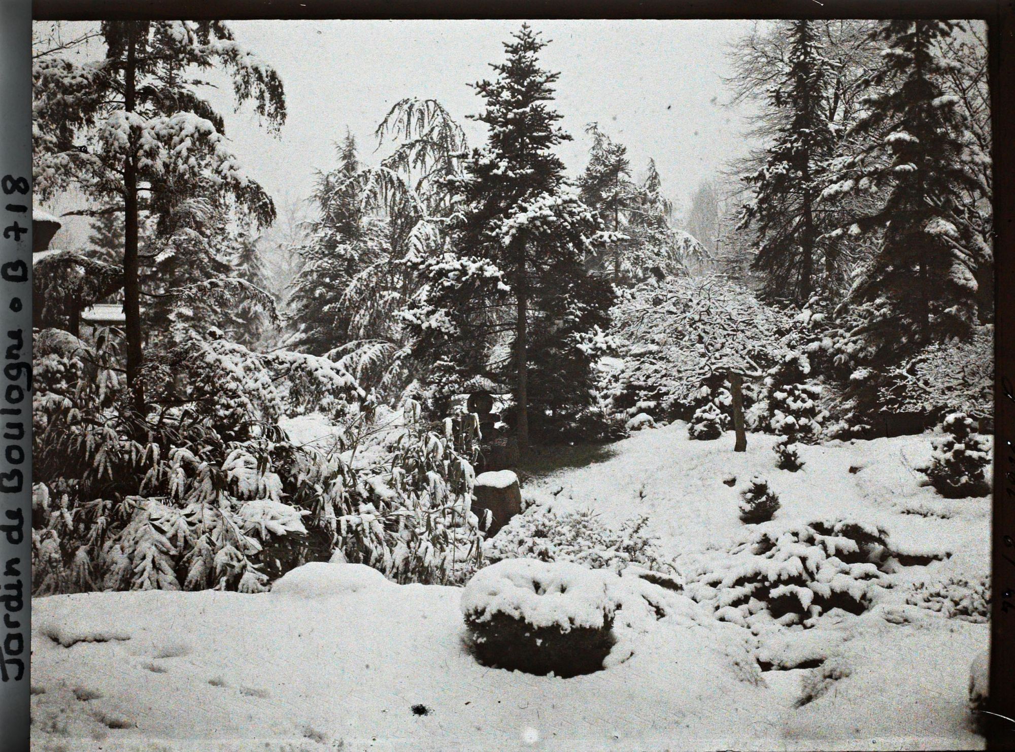 Image représentant Coin de jardin proche de la maison ouest du " village japonais " sous la neige