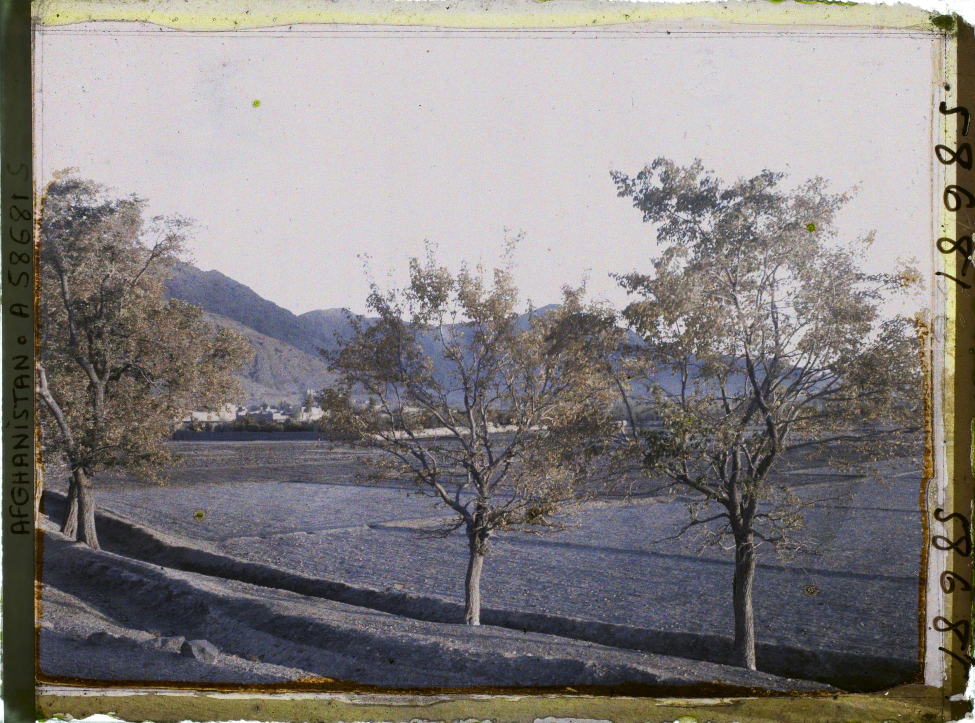 Image représentant IF969_A058681.jpg