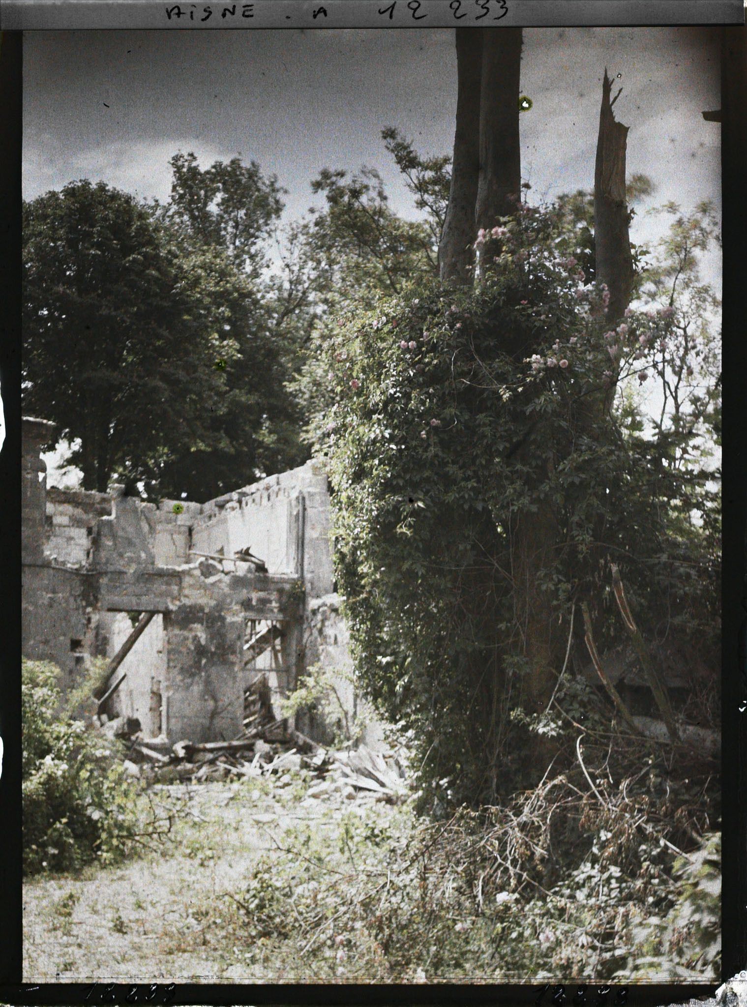 Image représentant Ruines de l'ancienne abbaye