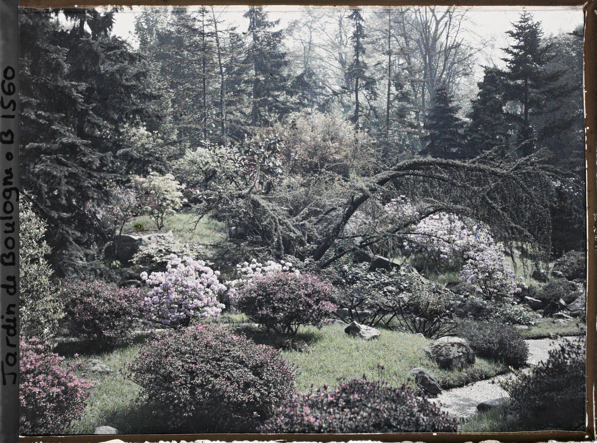 Image représentant Coin de paysage fleuri au bord d'étroits chemins situés à l'ouest du " village japonais "