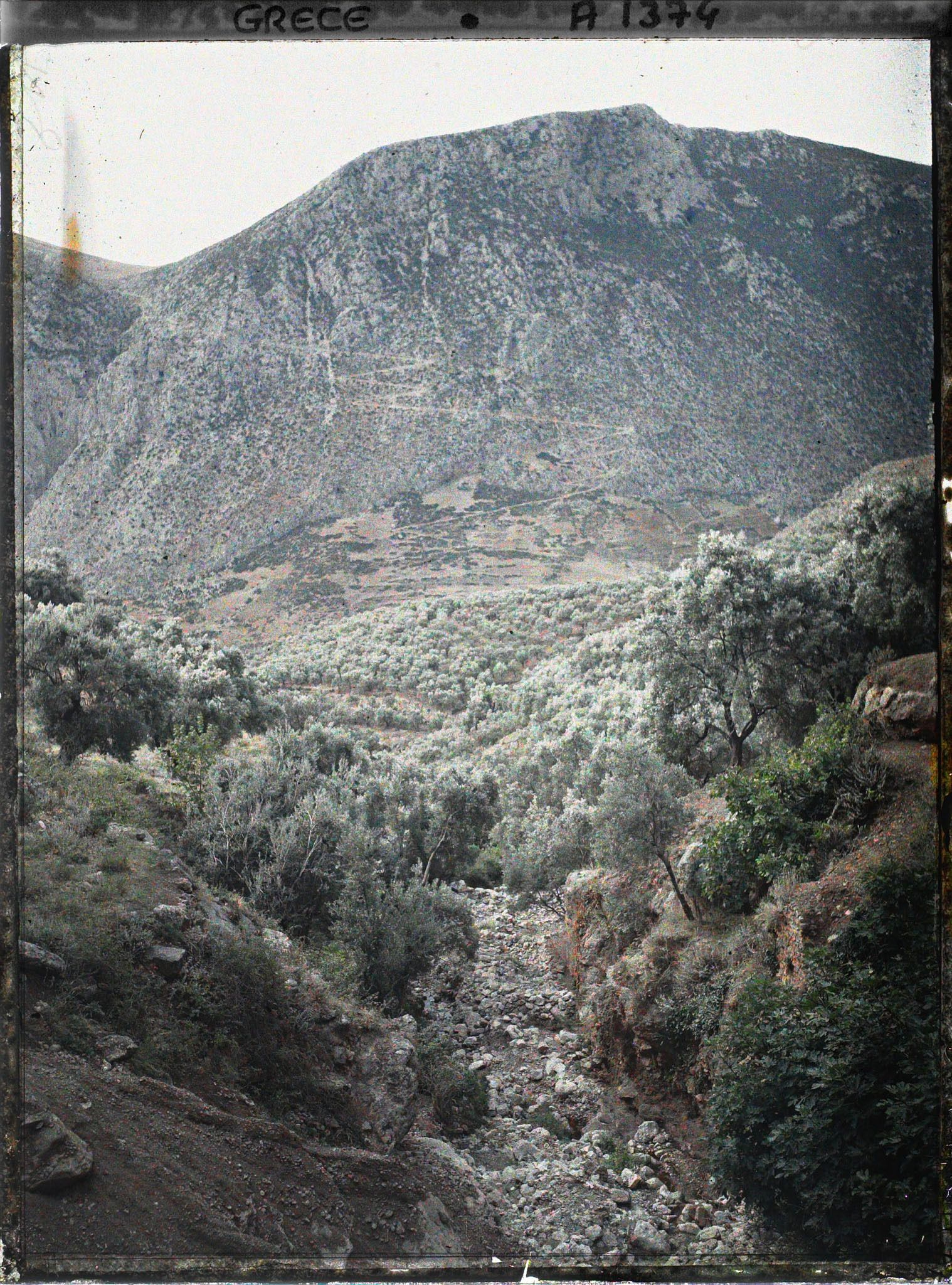 Image représentant Vue de la gorge de Castalie sur la vallée du Pleistos