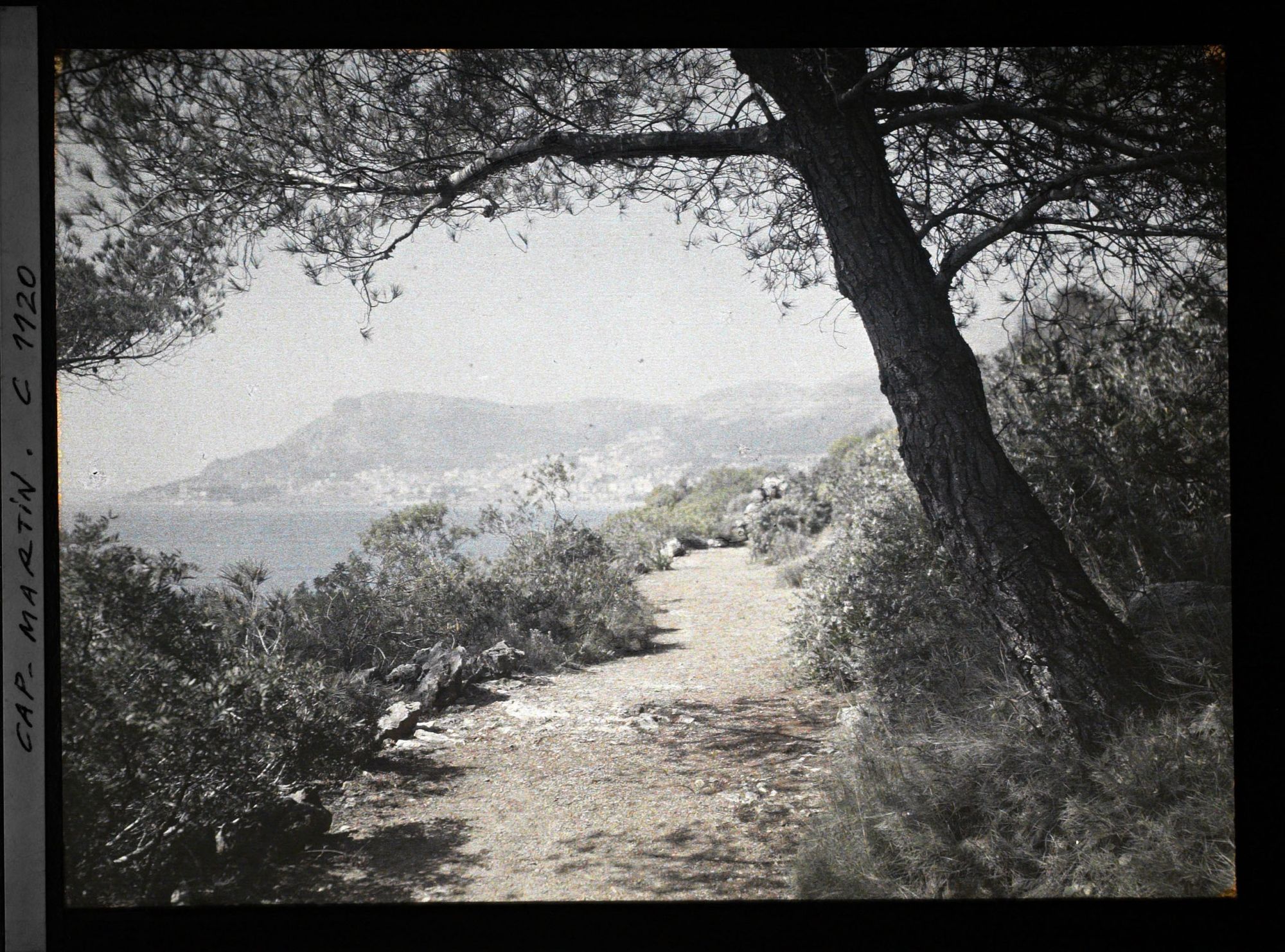 Image représentant le Jardin vue sur Menton