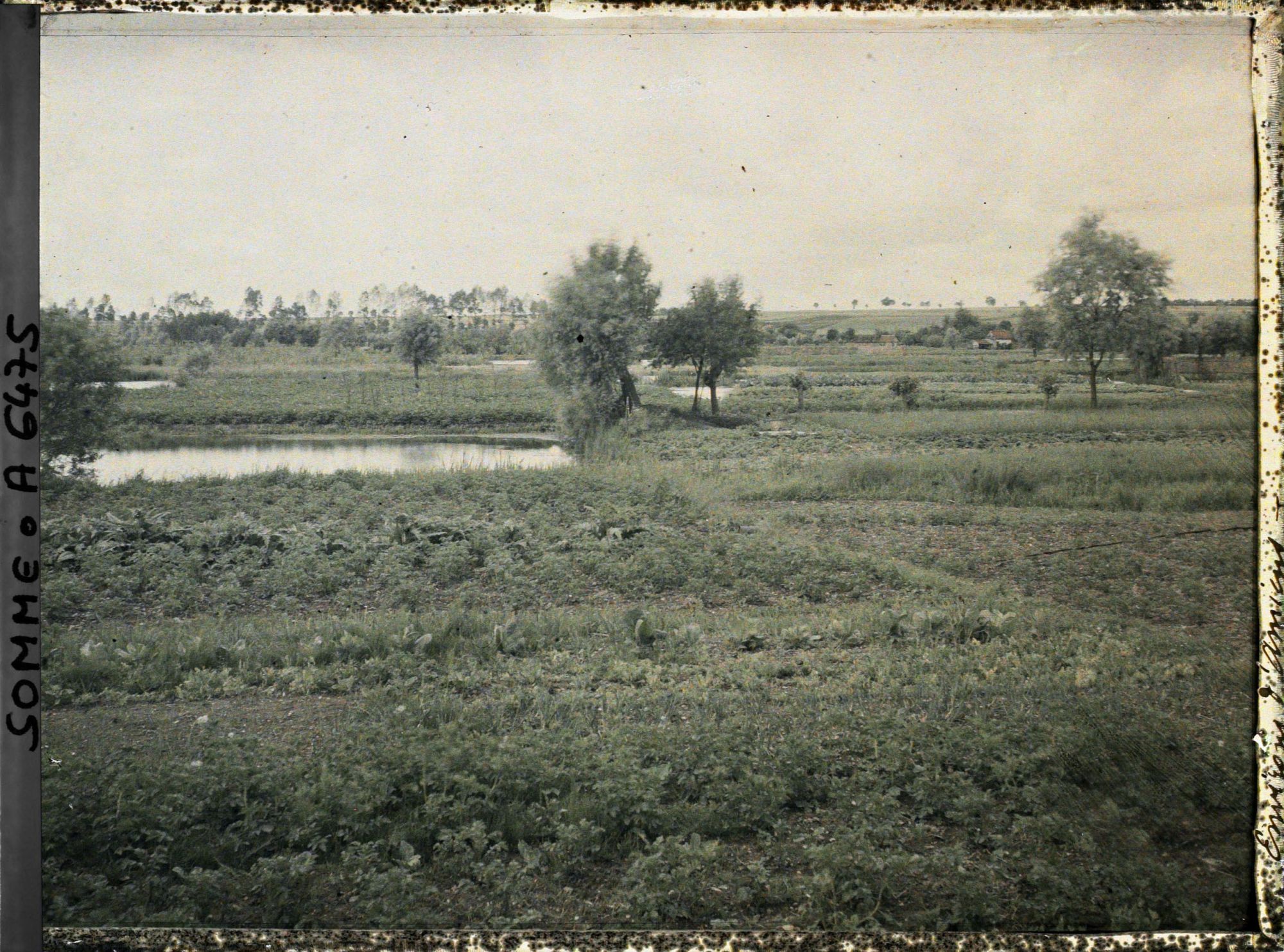 Image représentant France, Amiens, Cultures maraîchères