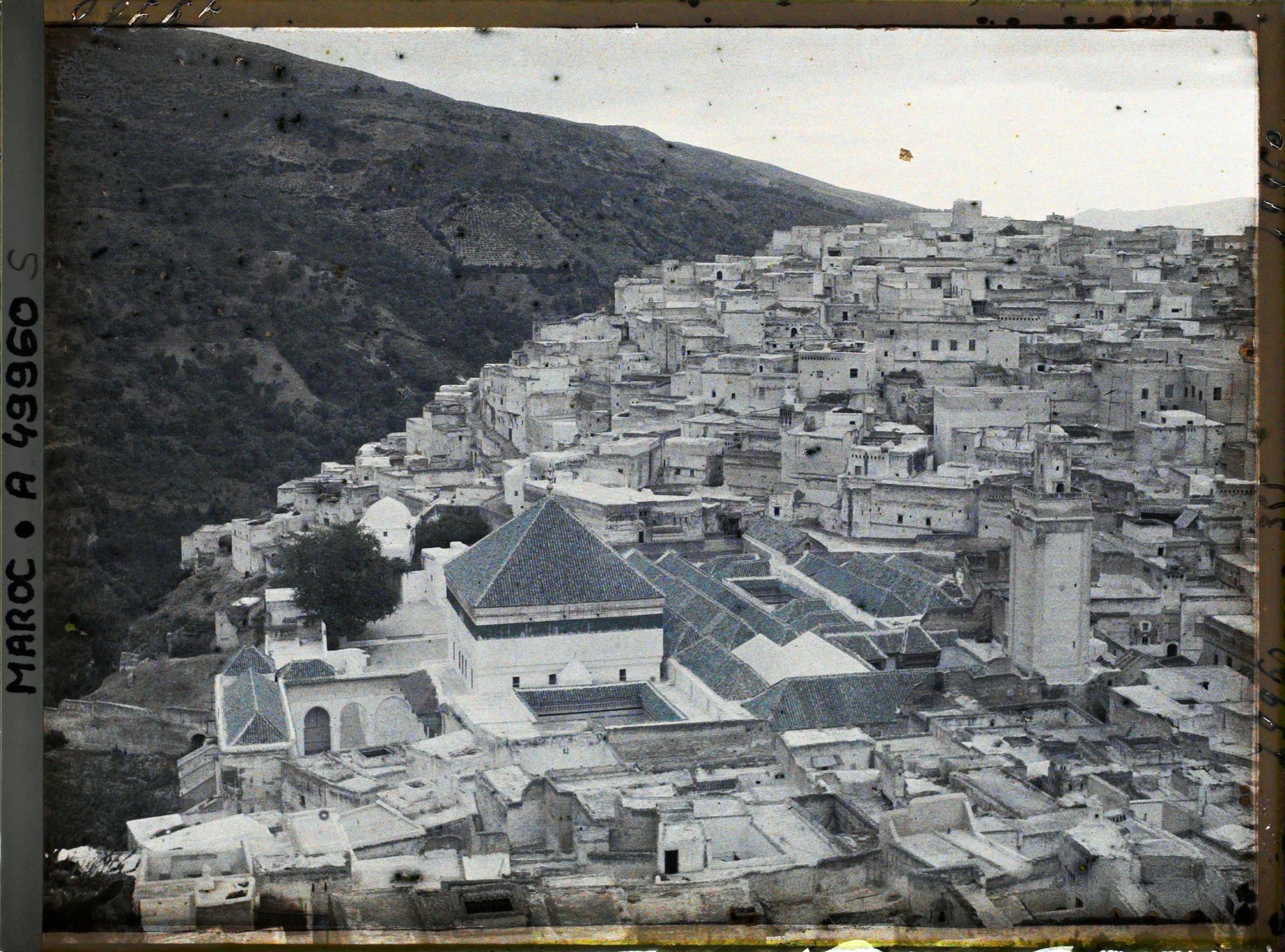 Image représentant La mosquée de Moulay Idriss