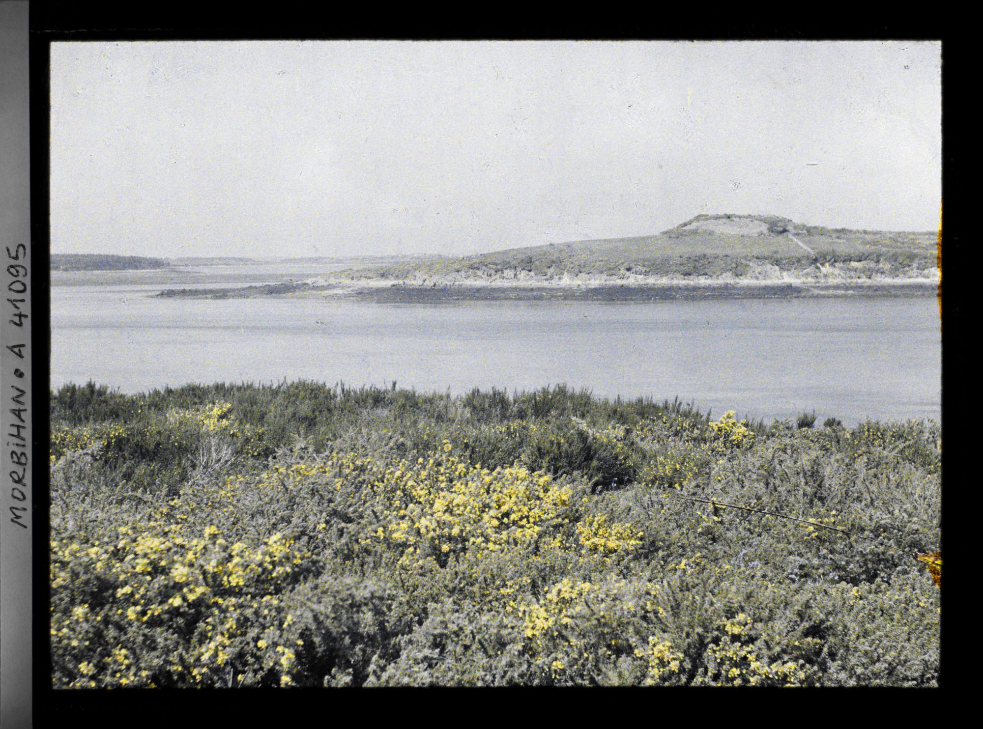 Image représentant L'île de Gavrinis et son tumulus vus depuis l'îlot d'Er Lannic