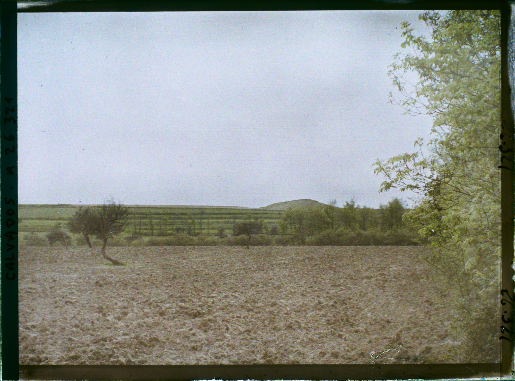 Image représentant Le Mont Cavalier vu de la route de Commes à Port-en-Bessin
