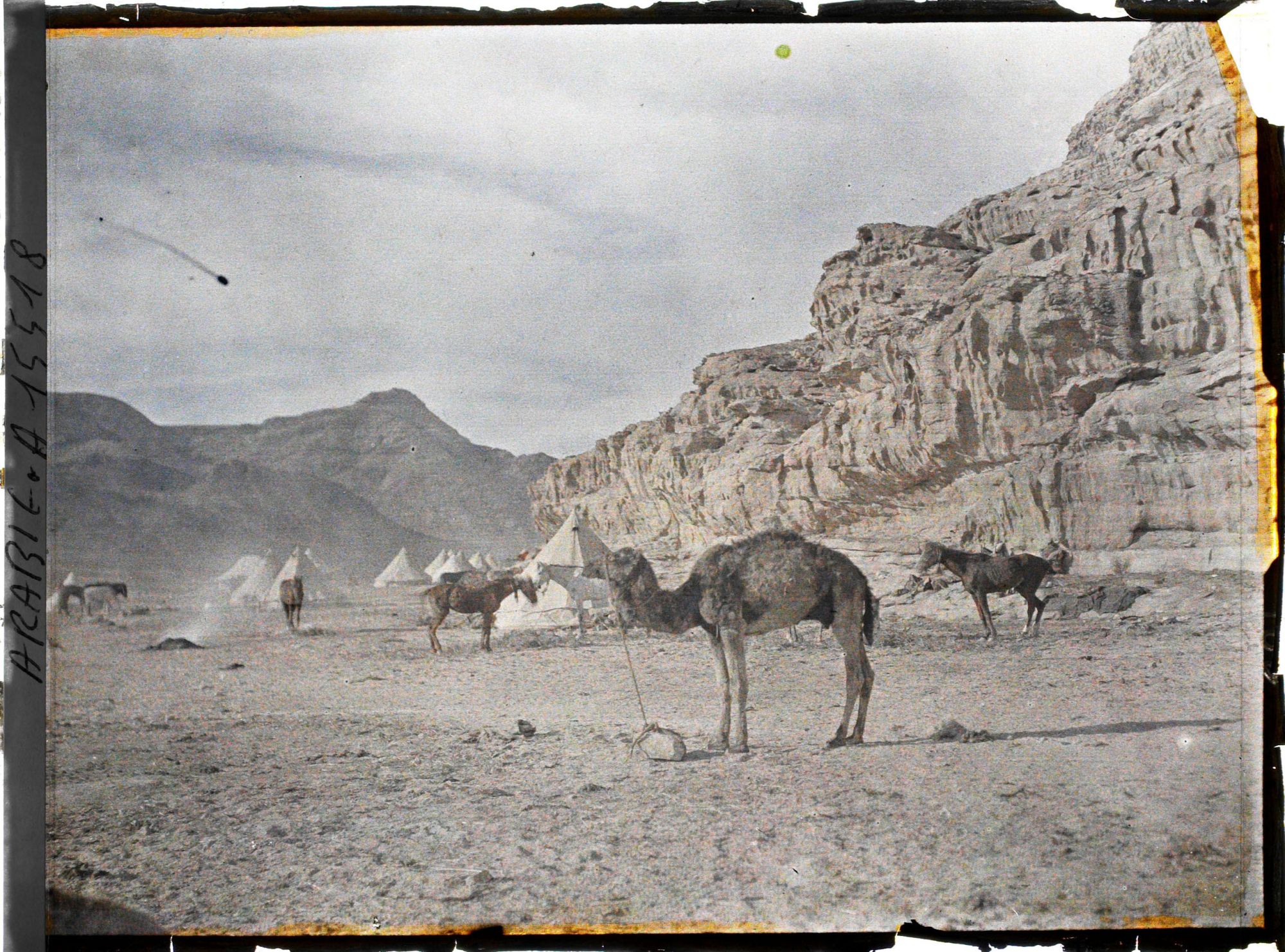 Image représentant Sous les falaises, les tentes du campement des forces arabes du royaume du Hedjaz