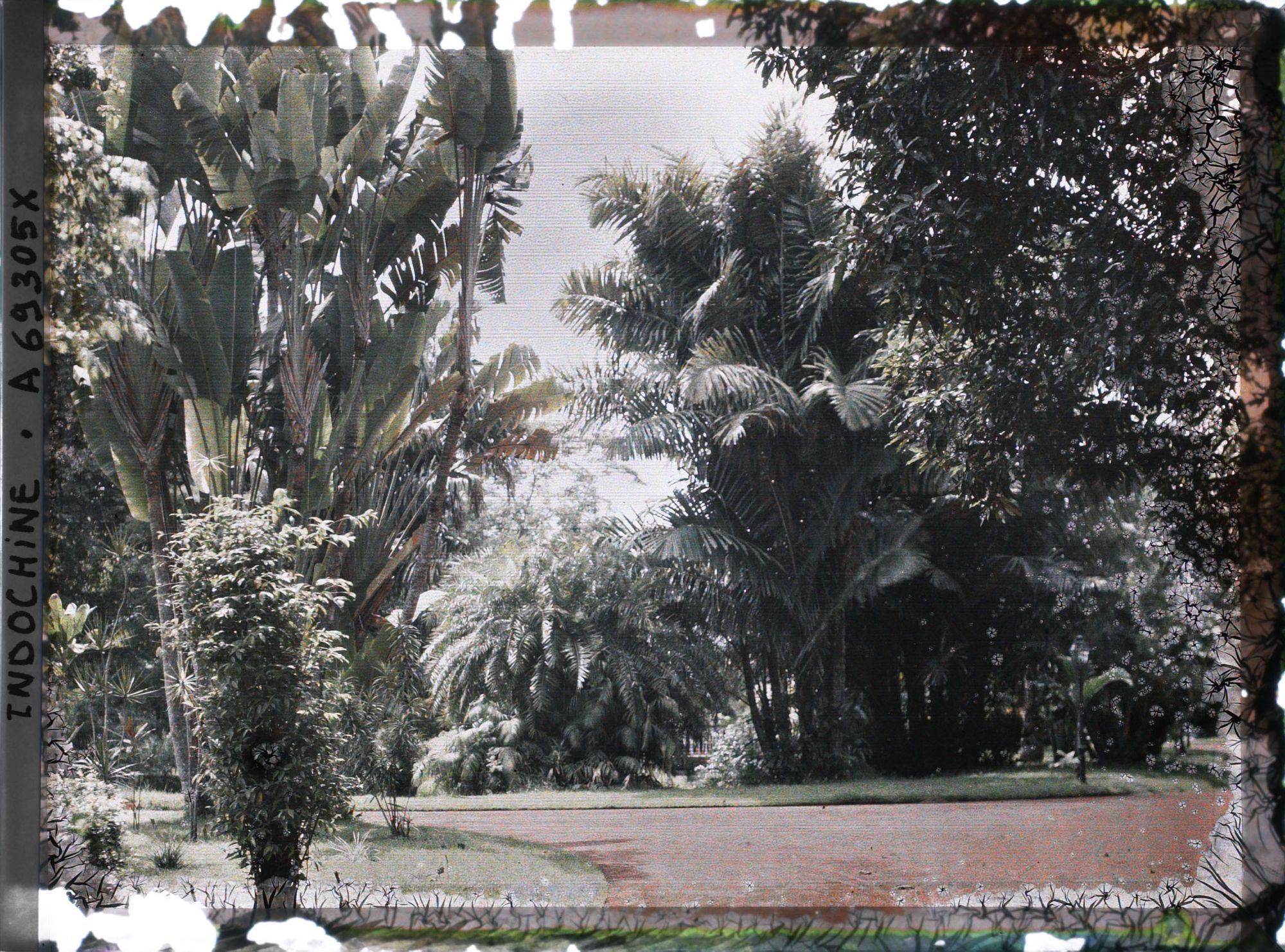 Image représentant Le jardin botanique