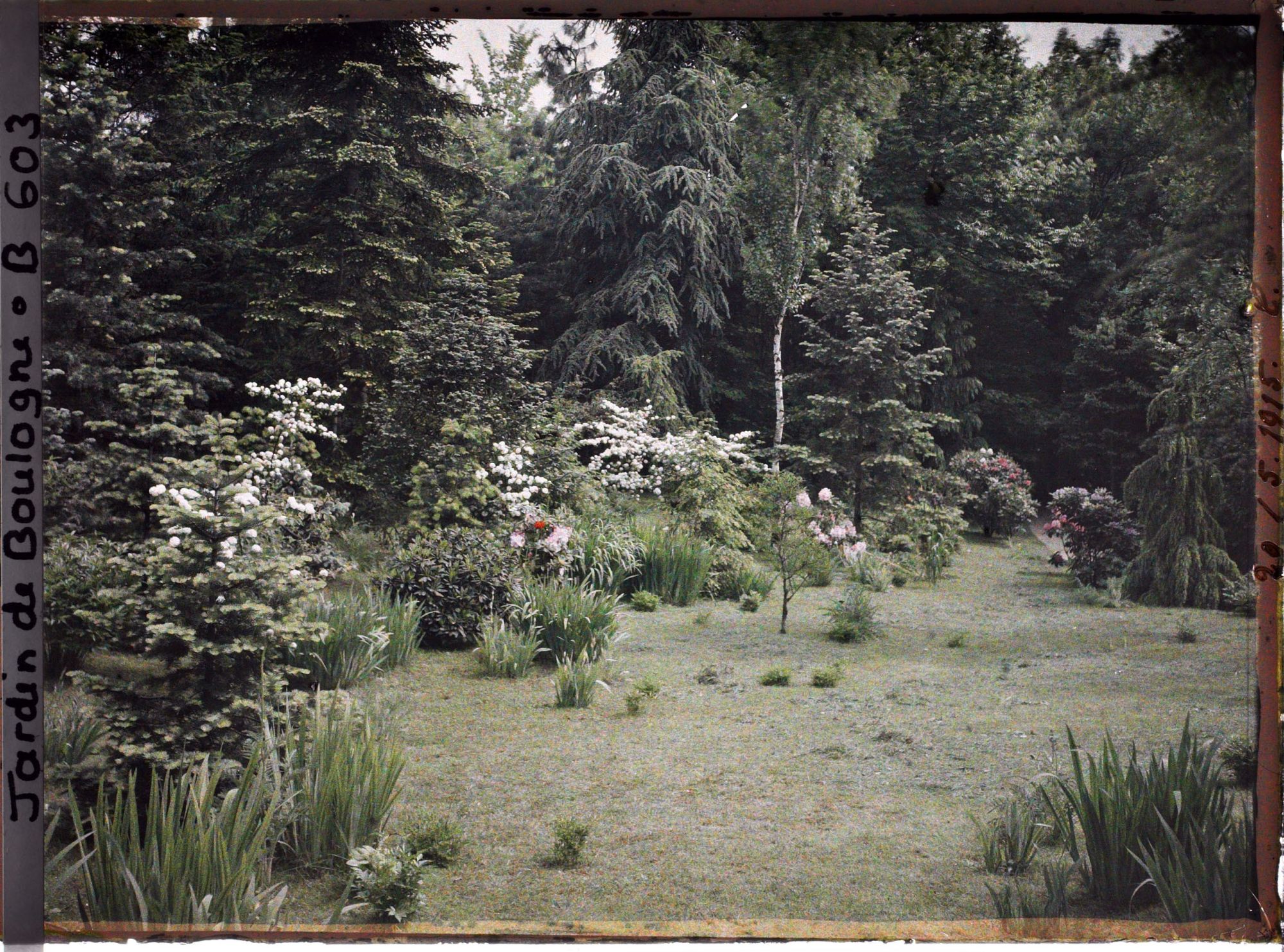 Image représentant IF7954_B000603.jpg