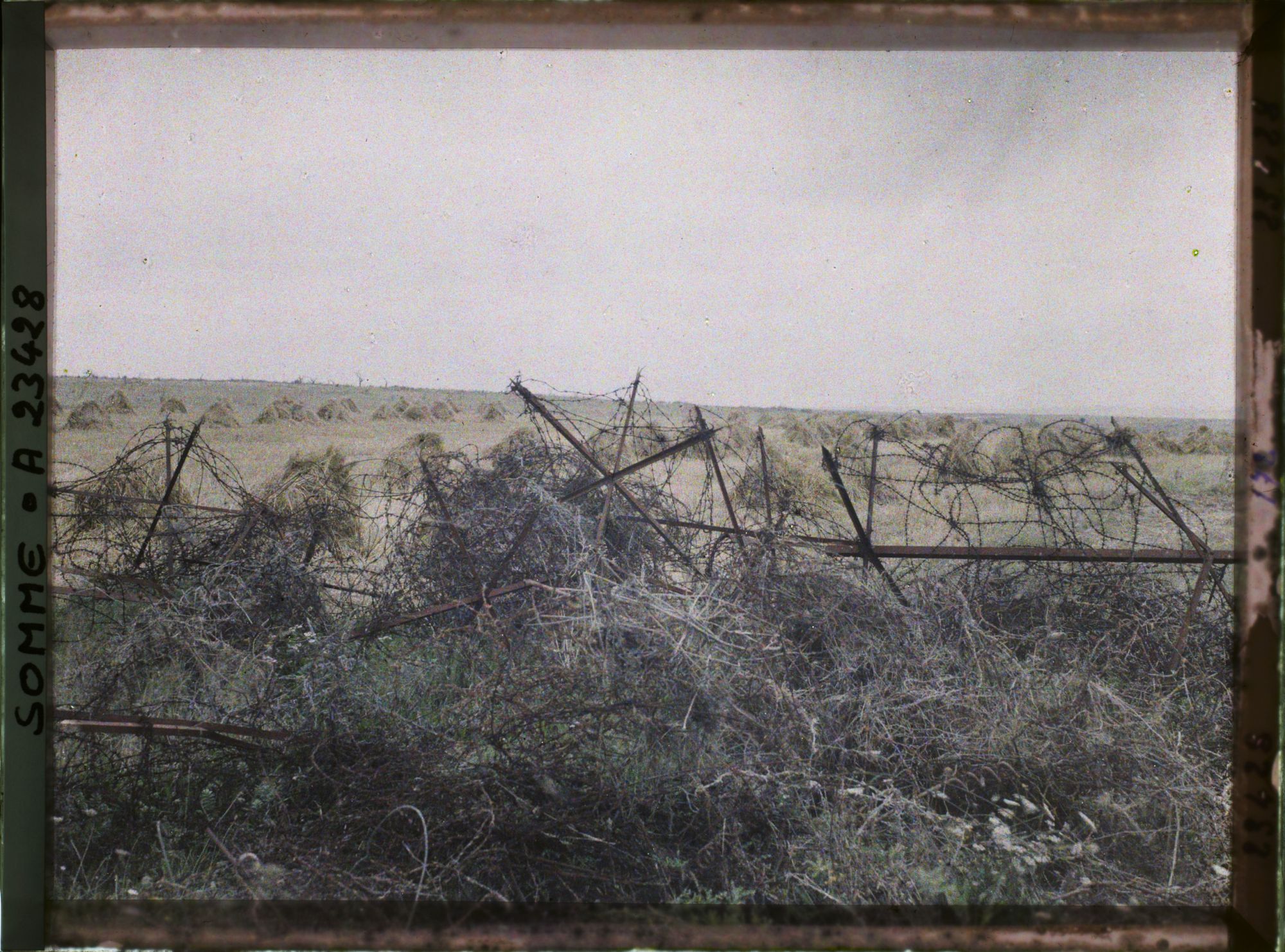Image représentant France, Bouchavesnes, Réseaux enlevés du Champ de blé que l'on voit derrière