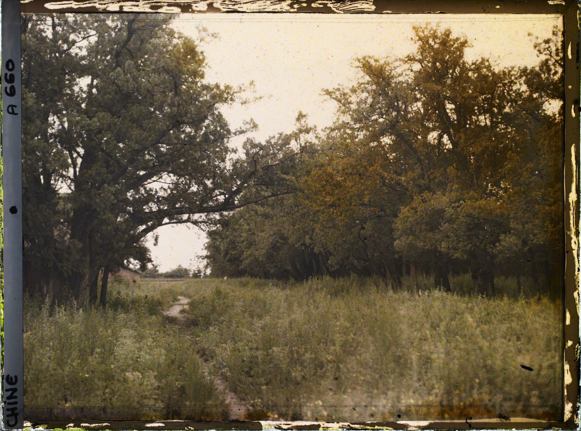 Image représentant Xiannongtan (" temple de l'Agriculture ")