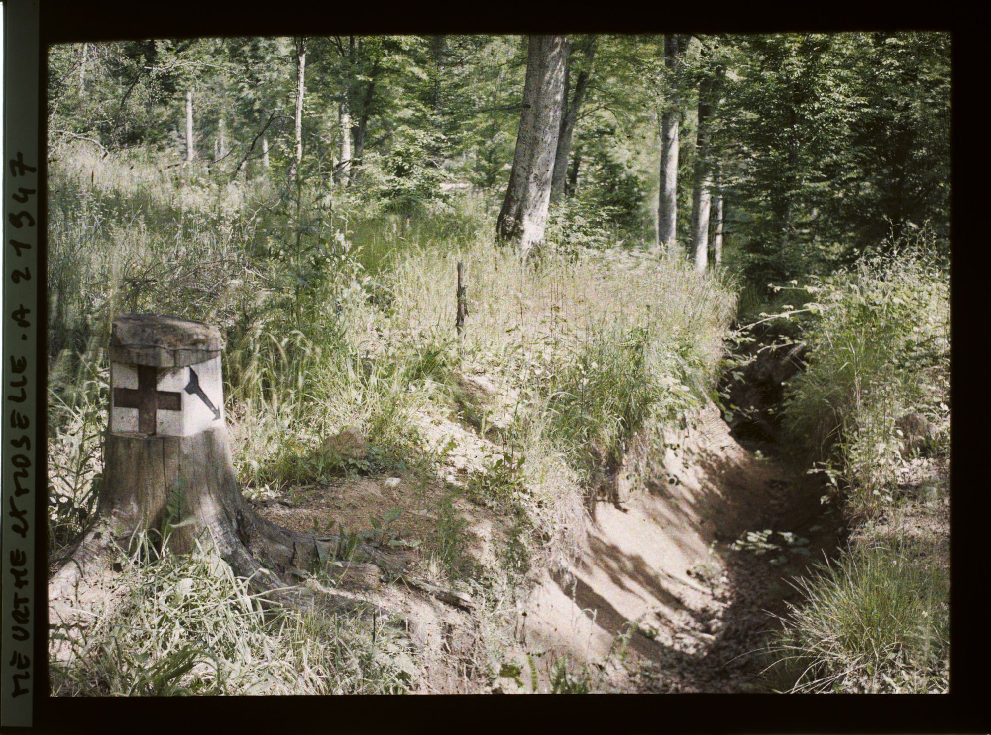 Image représentant France, Bois Le Prêtre, Bois Le Prêtre, entrée d'un boyau d'ambulance