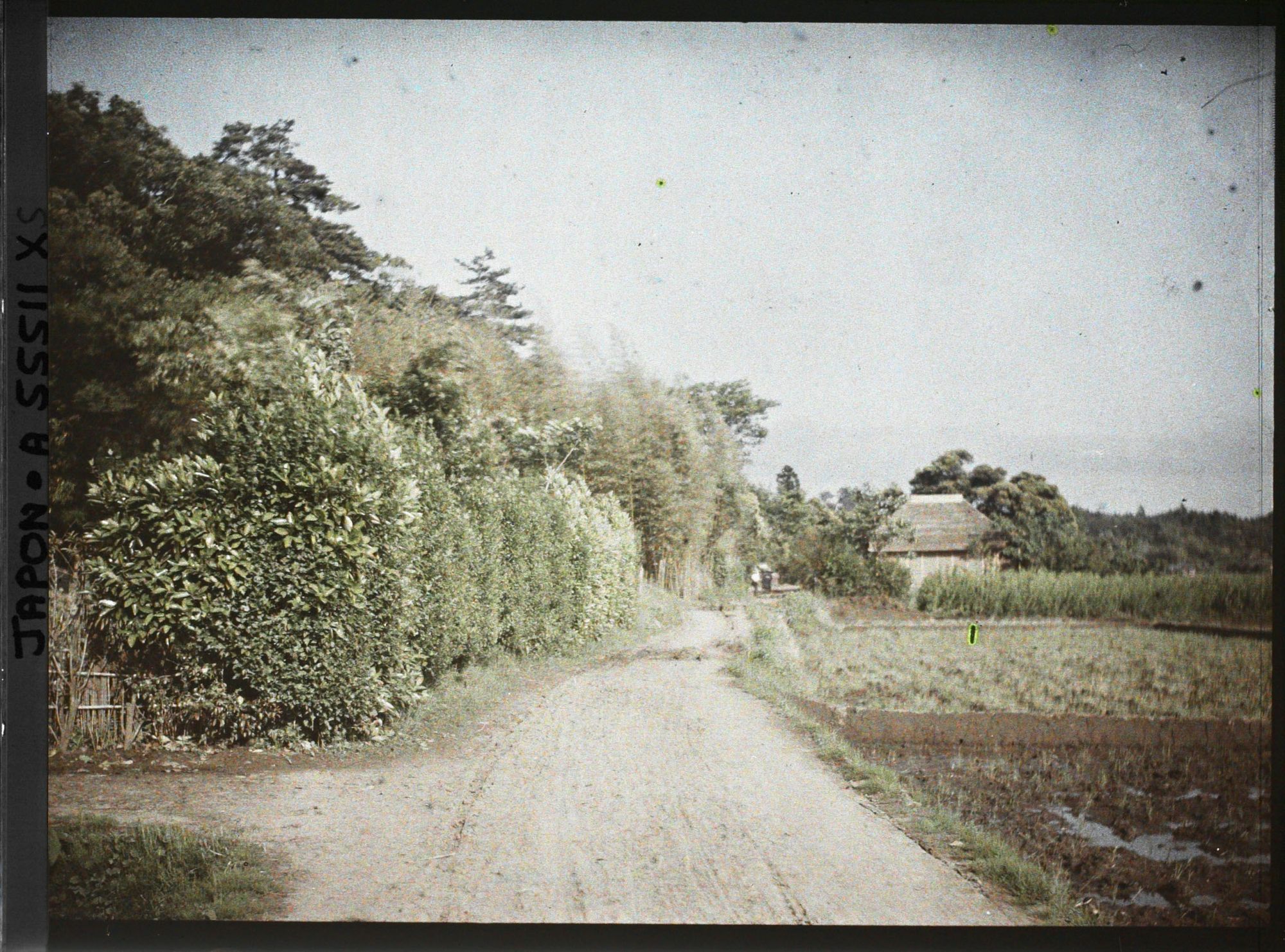 Image représentant Village de la commune de Sakura